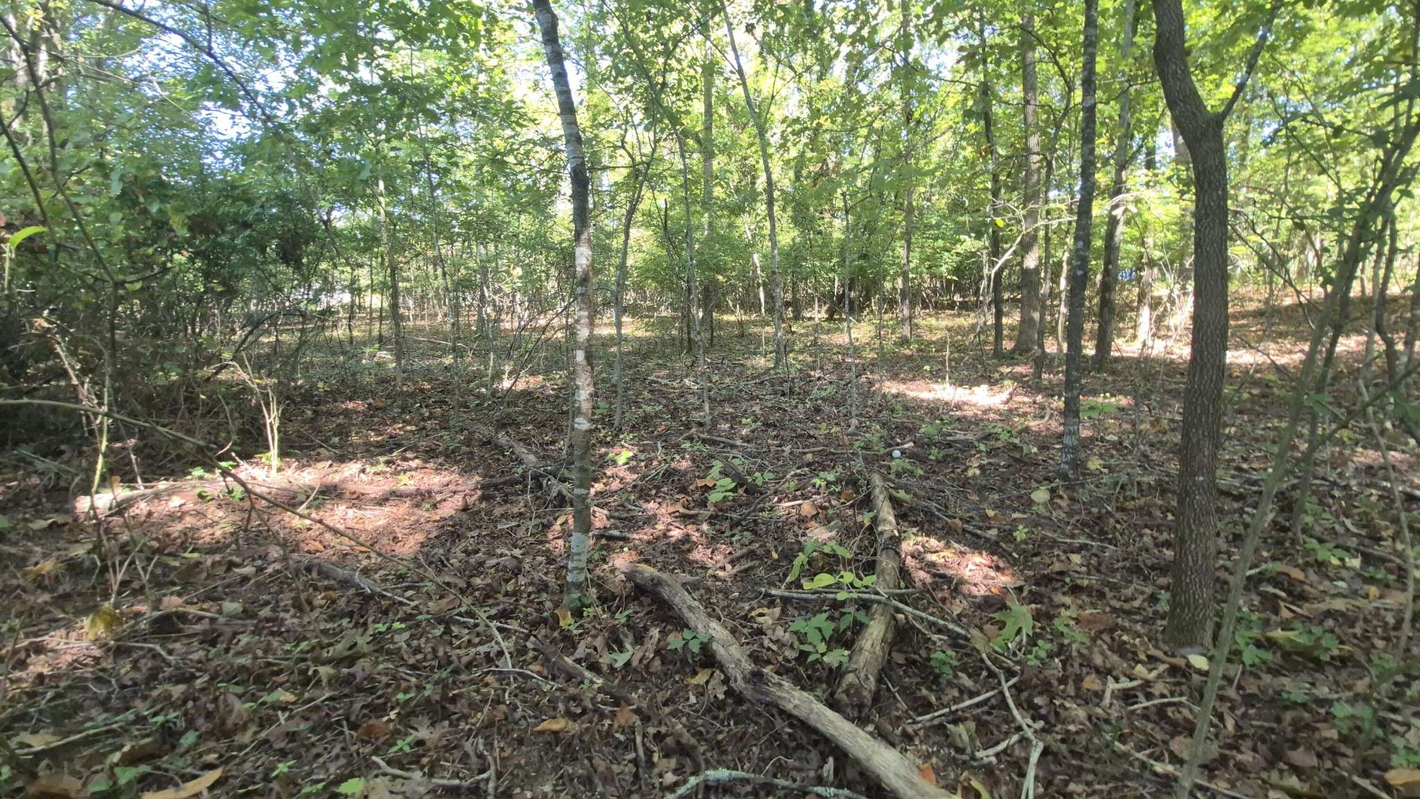 0 Spring Street, Monteagle, TN 37356