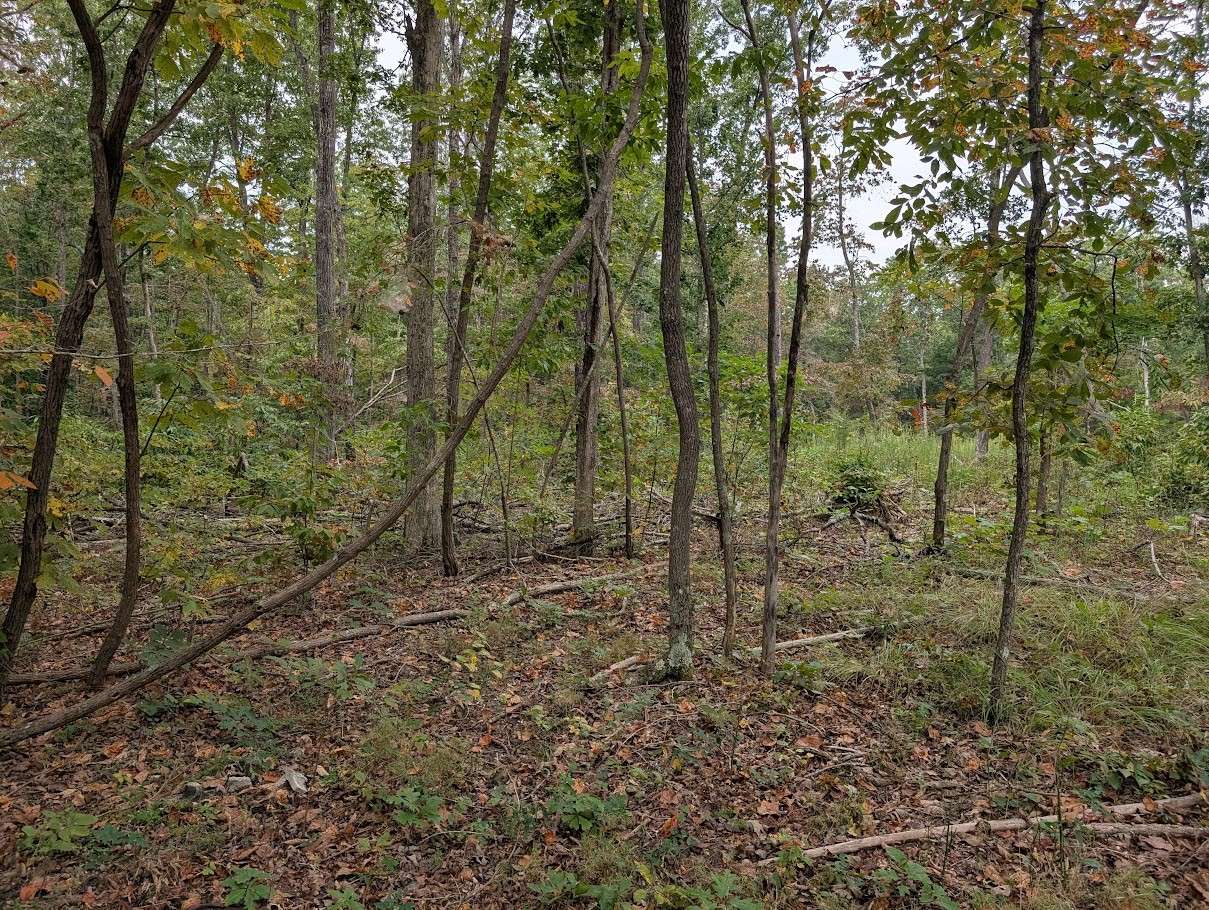 0 Deer Run Rd, Altamont, TN 37301