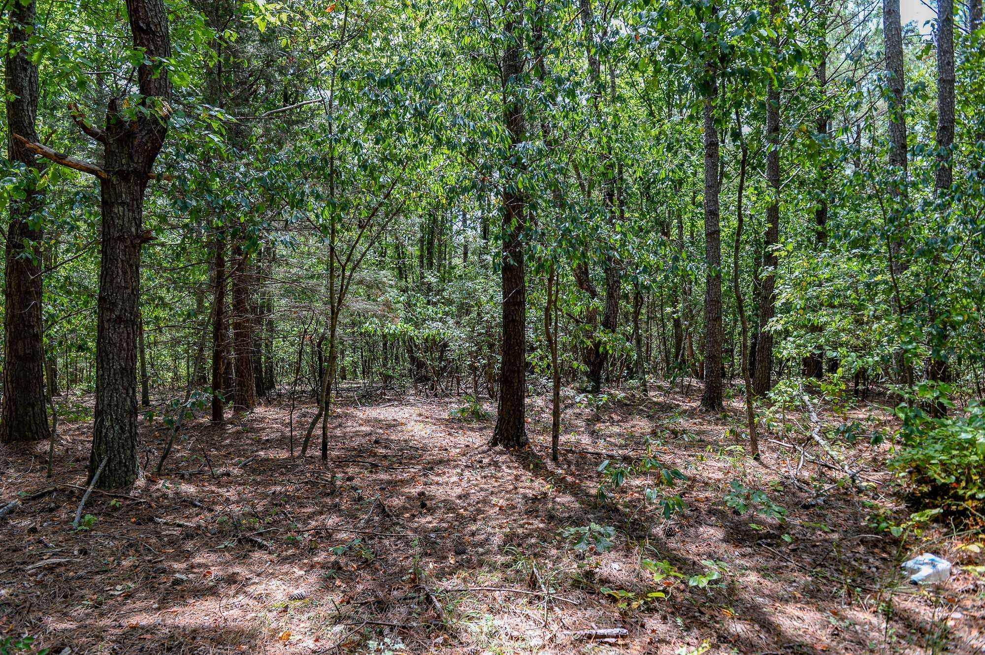 0 Brush Creek Rd, Hohenwald, TN 38462