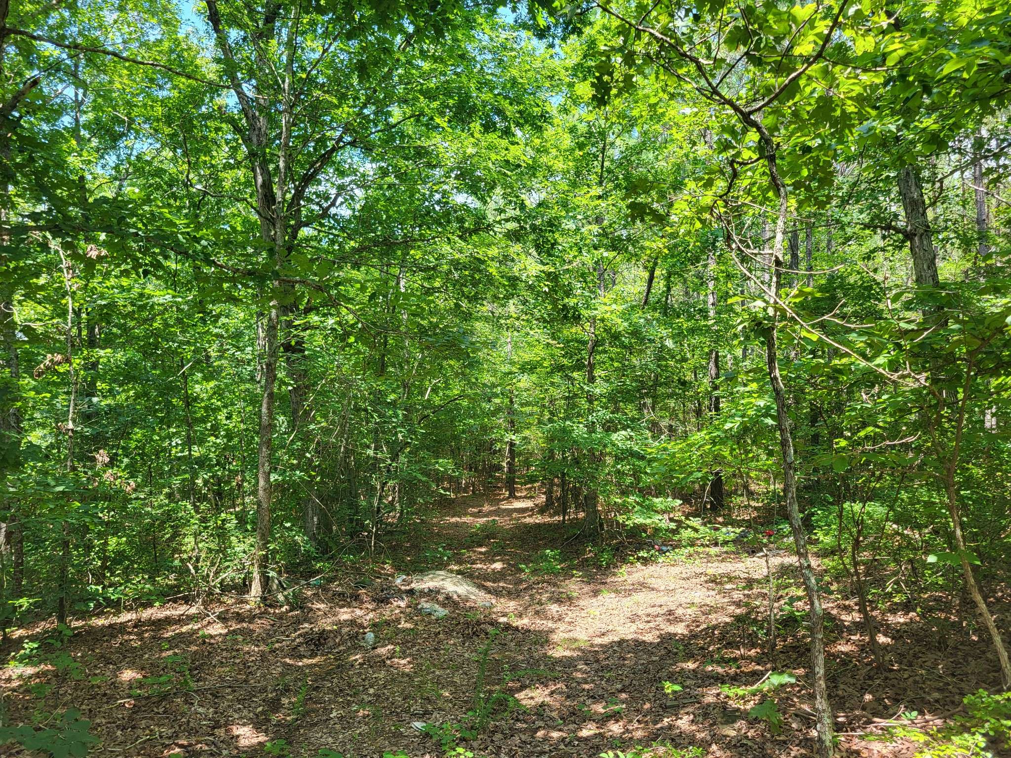 3 Birdsong Rd, Holladay, TN 38341