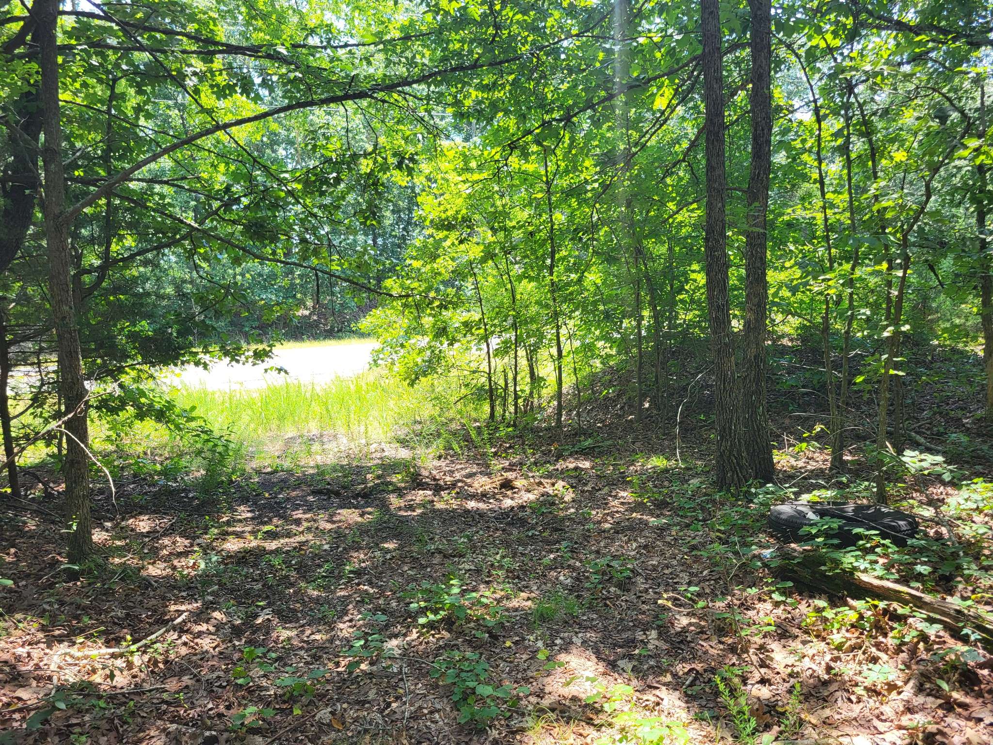 3 Birdsong Rd, Holladay, TN 38341