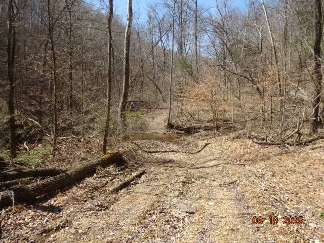 5310 Whites Creek Pike, Whites Creek, TN 37189