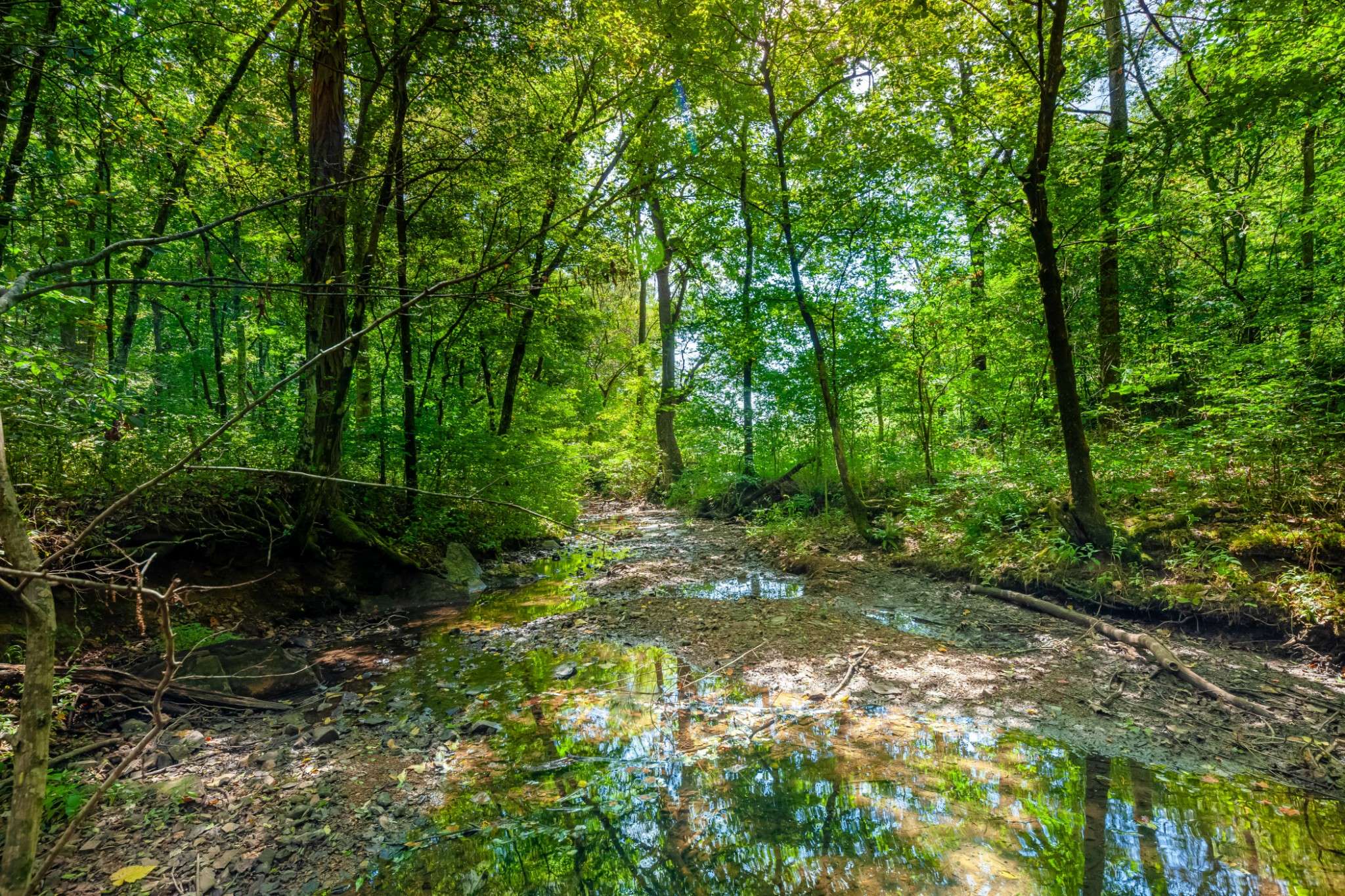 0 Sugar Ridge Rd, Spring Hill, TN 37174