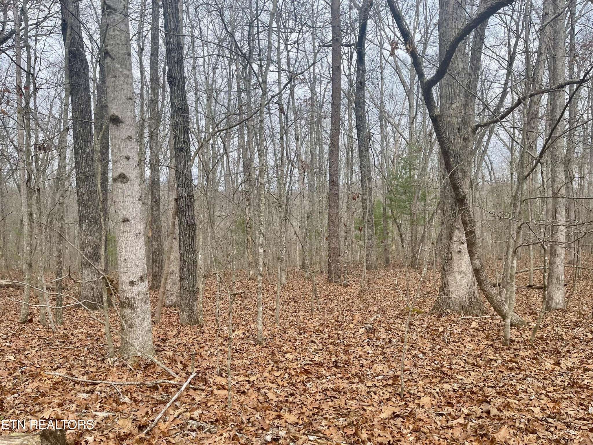 33 Leeds Terrace, Crossville, TN 38558