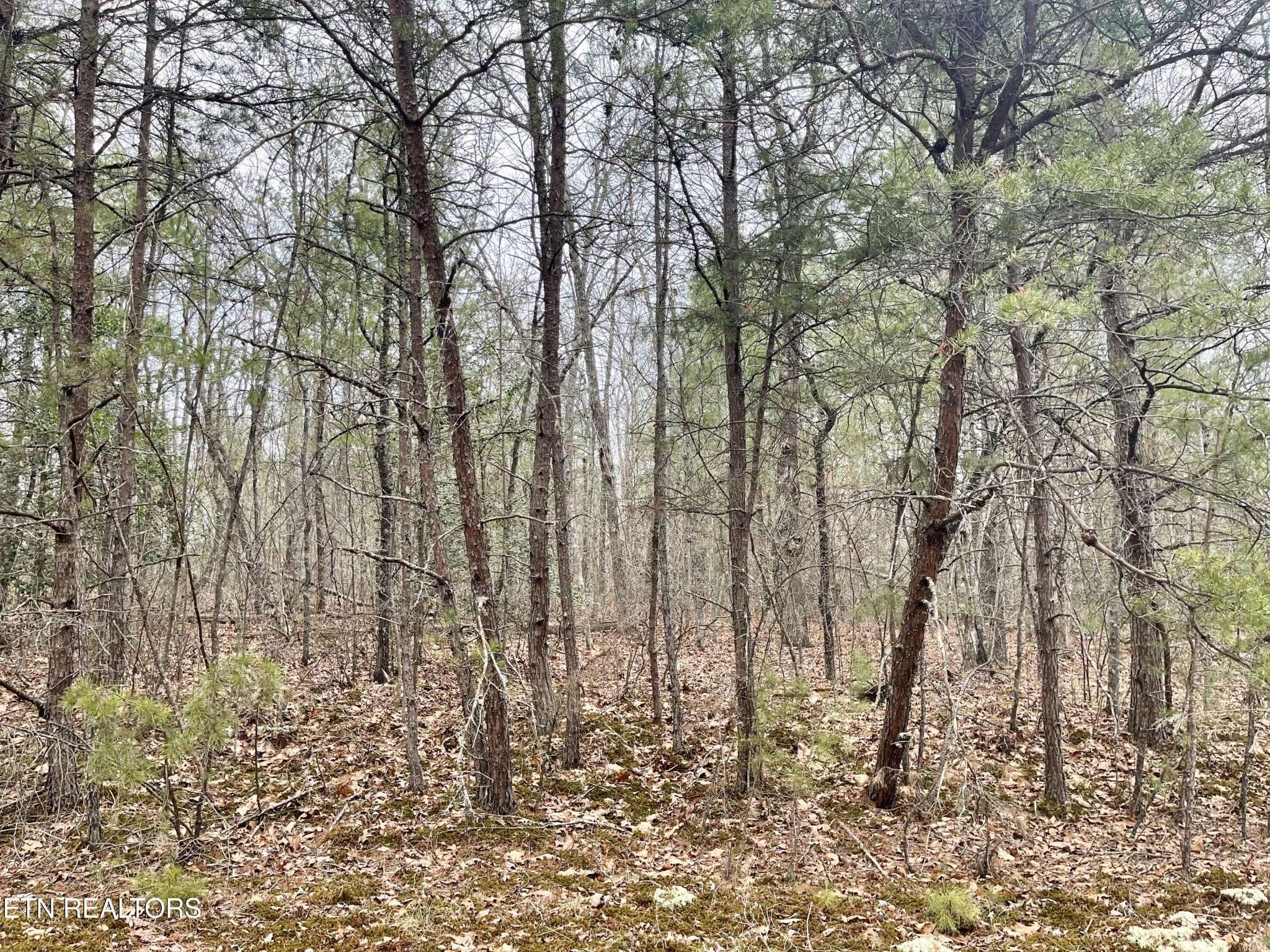 327 Bainbridge Rd, Crossville, TN 38558