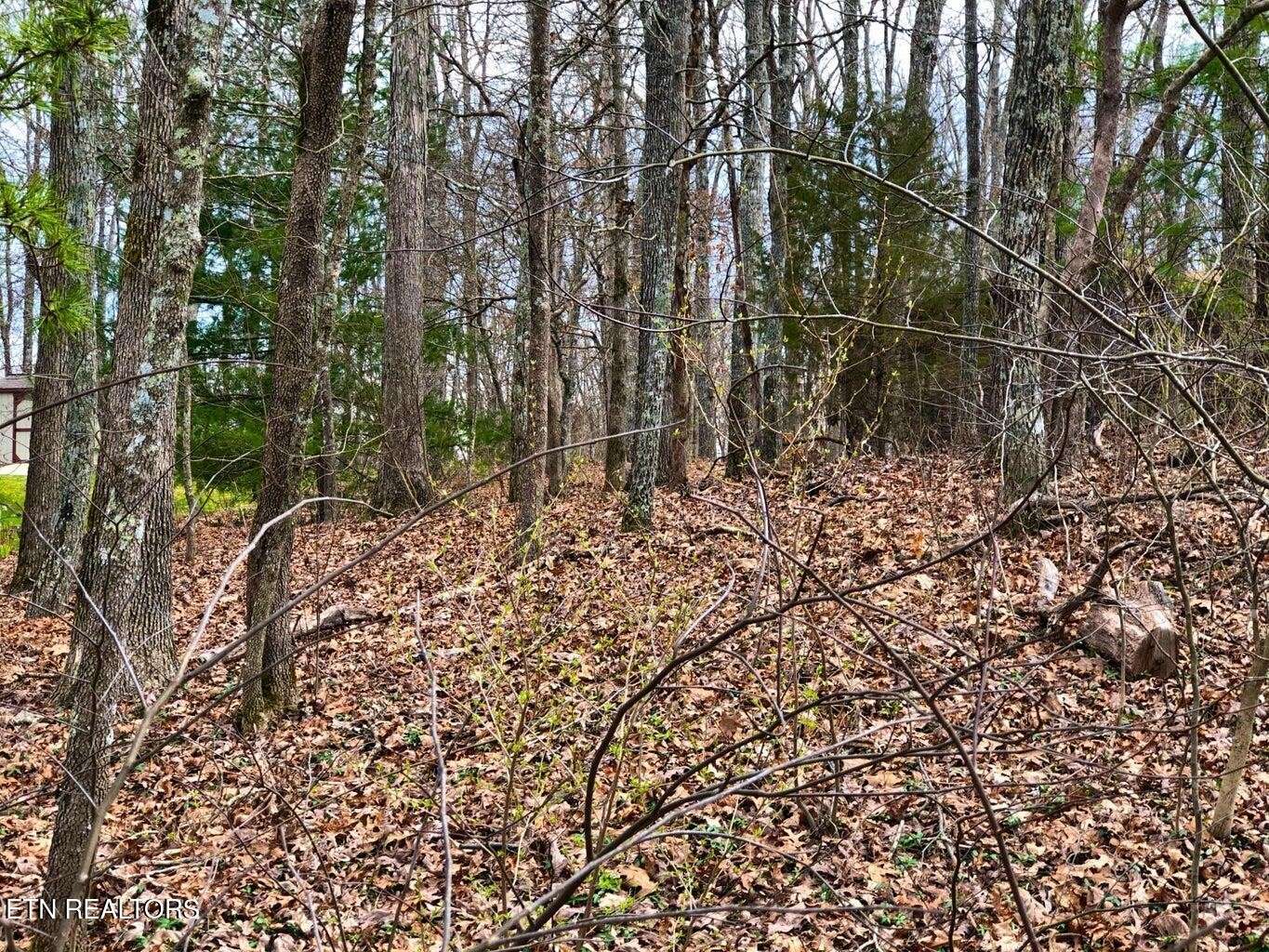 11 Oxford Circle, Crossville, TN 38558