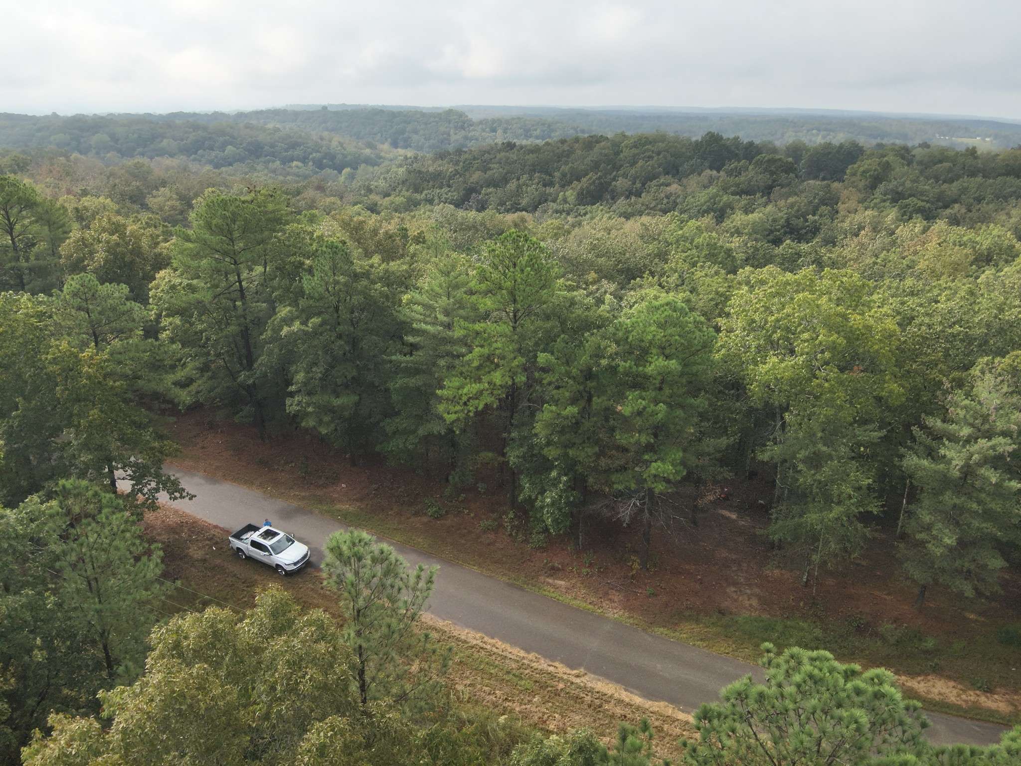 46 Hardison Ln, Linden, TN 37096