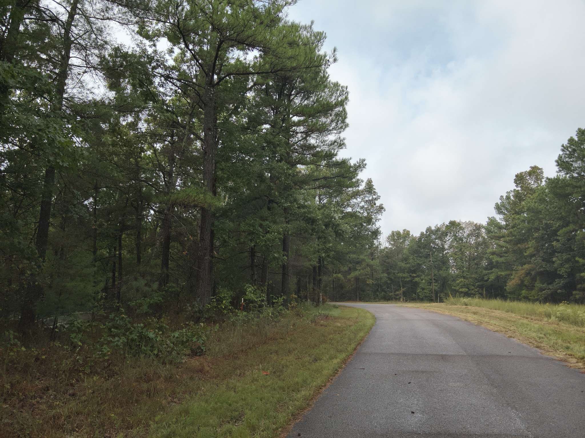 46 Hardison Ln, Linden, TN 37096