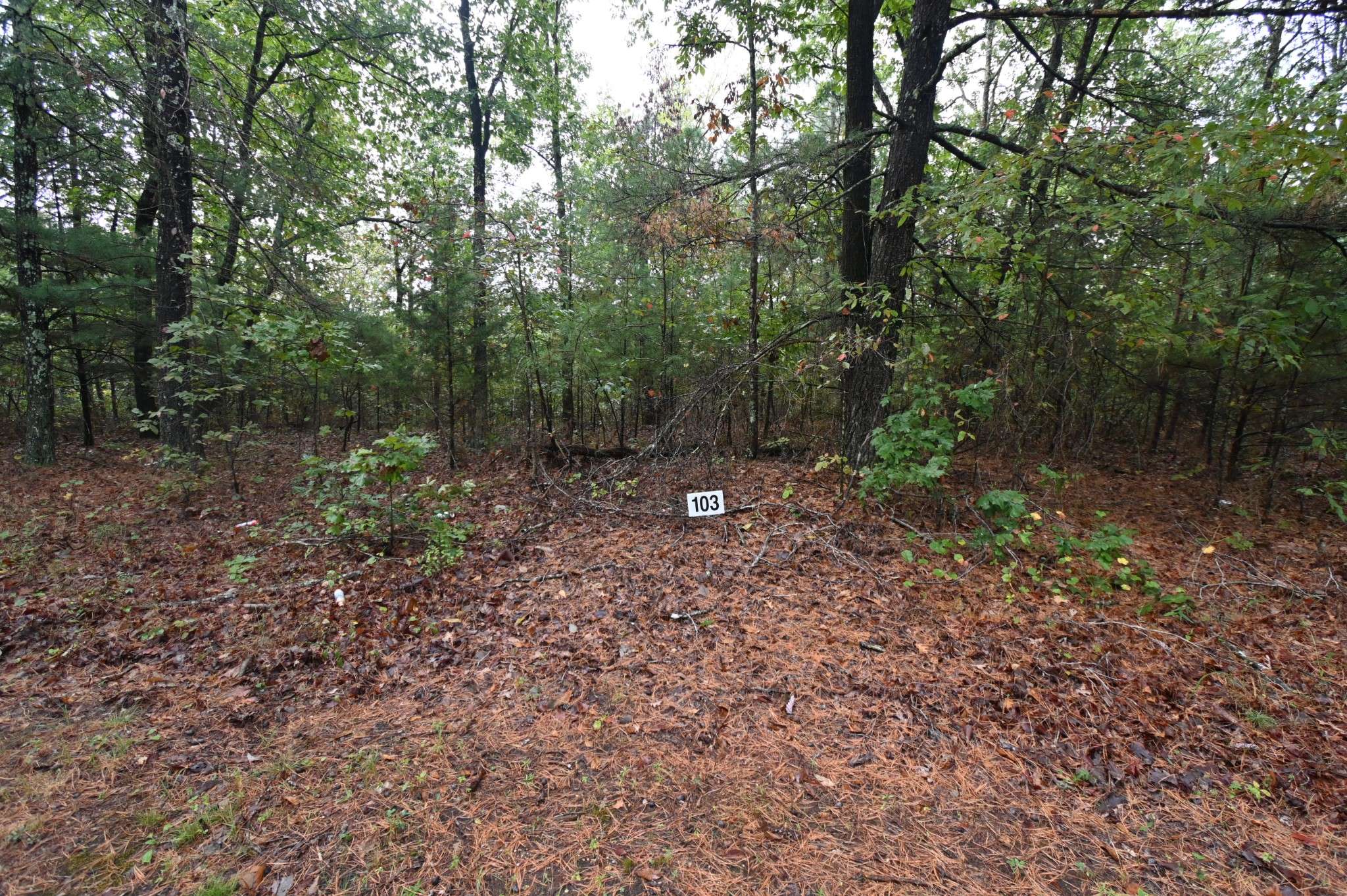 62 Hardison Ln, Linden, TN 37096