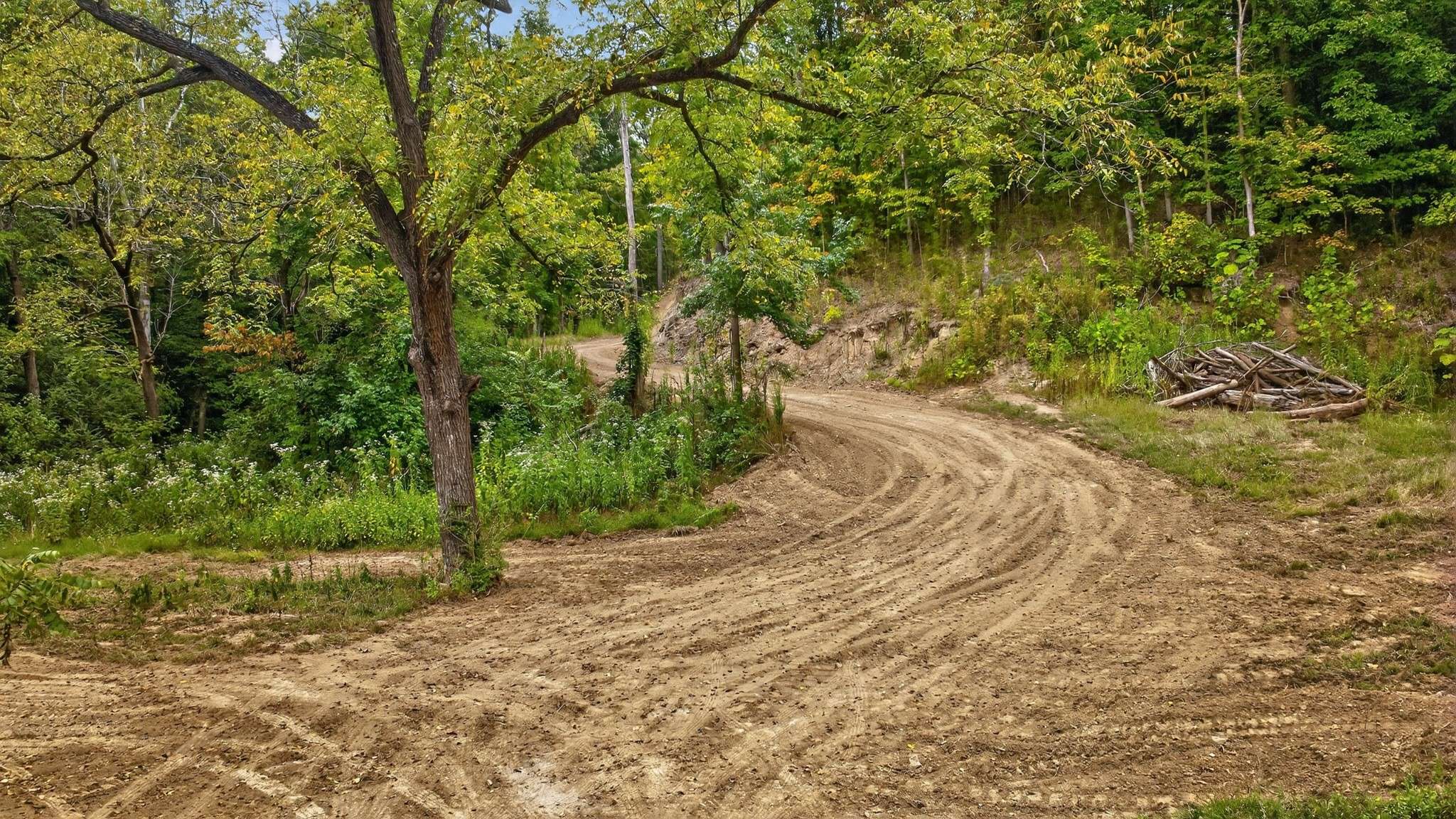 2480 Claylick Rd, Whites Creek, TN 37189