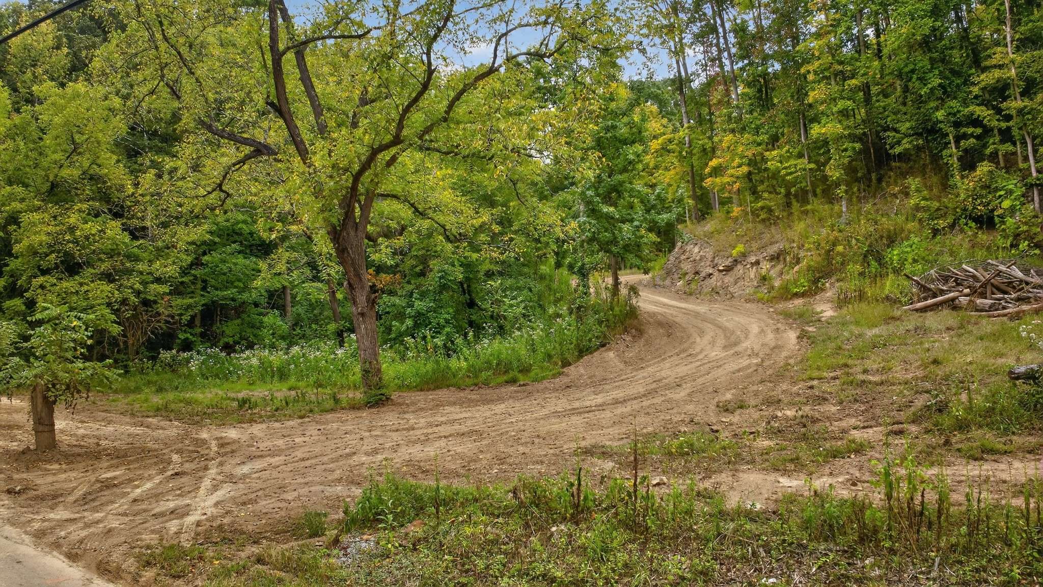2480 Claylick Rd, Whites Creek, TN 37189