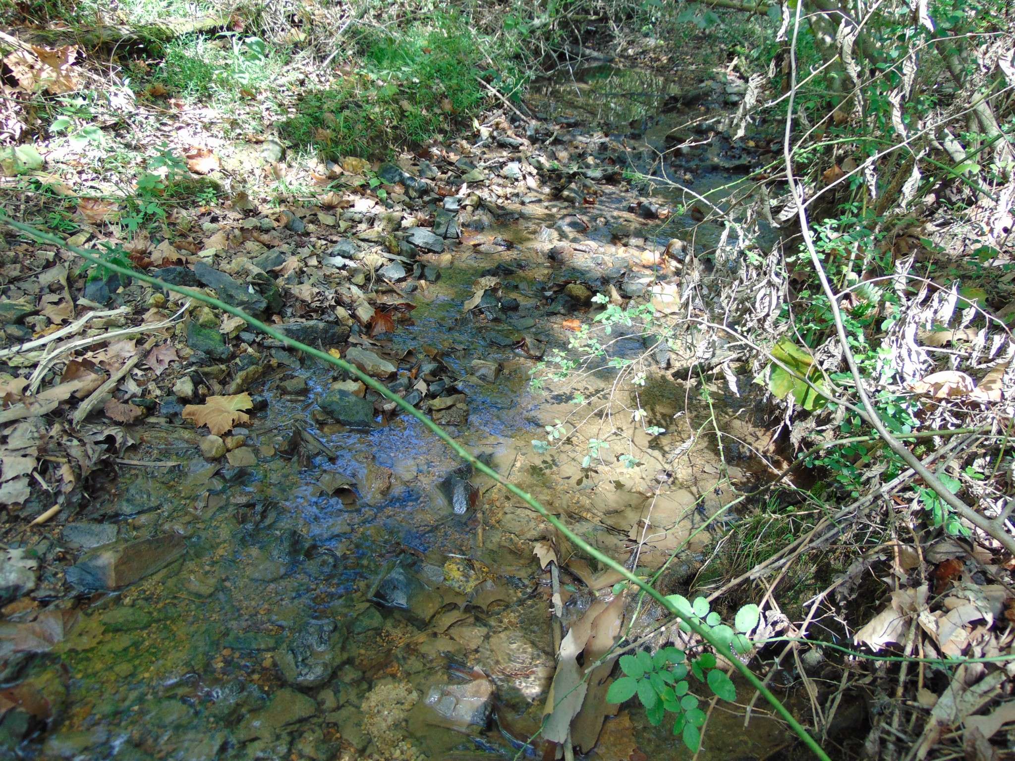 0 Alexander Springs Rd, Ethridge, TN 38456