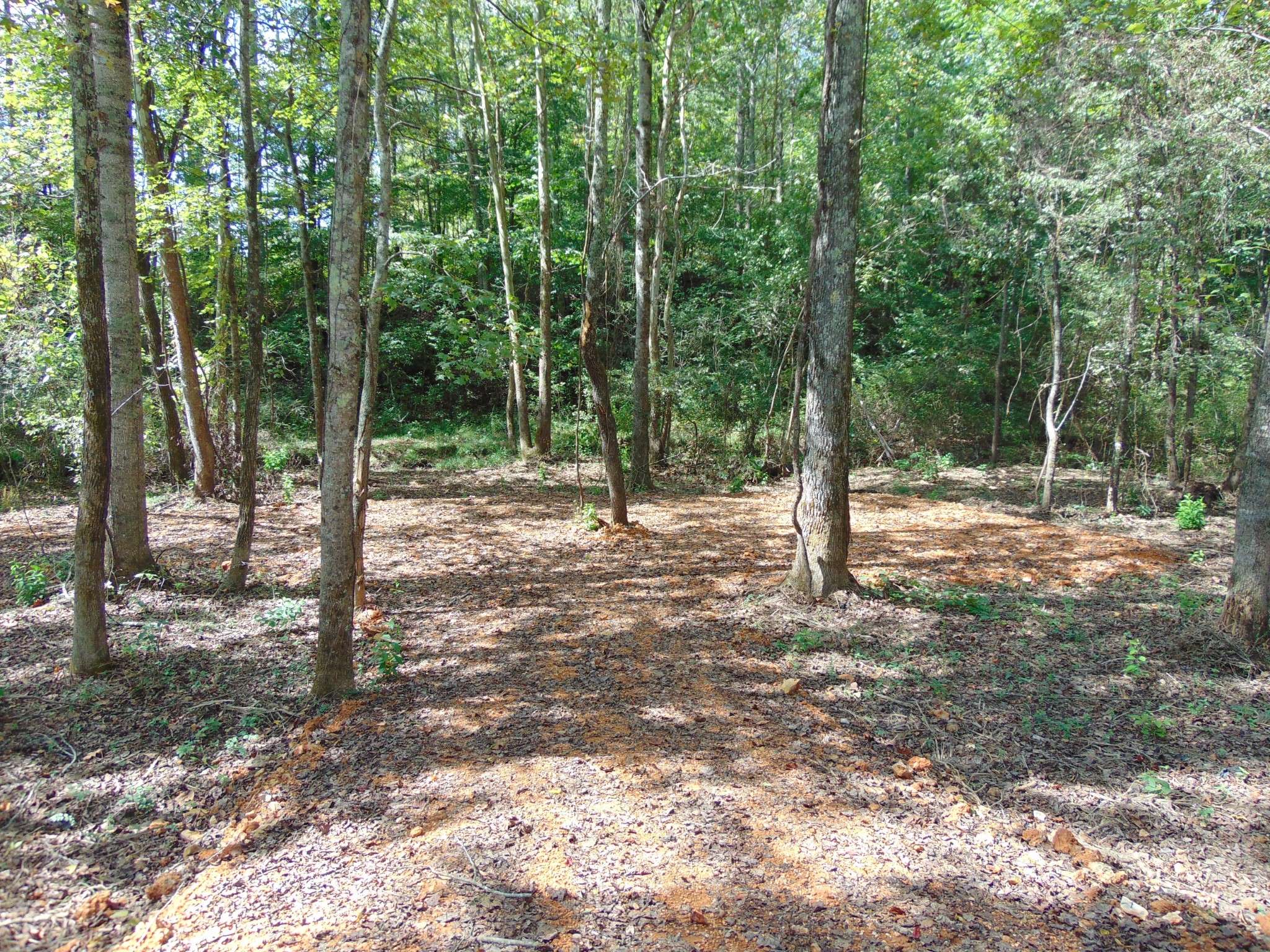 0 Alexander Springs Rd, Ethridge, TN 38456