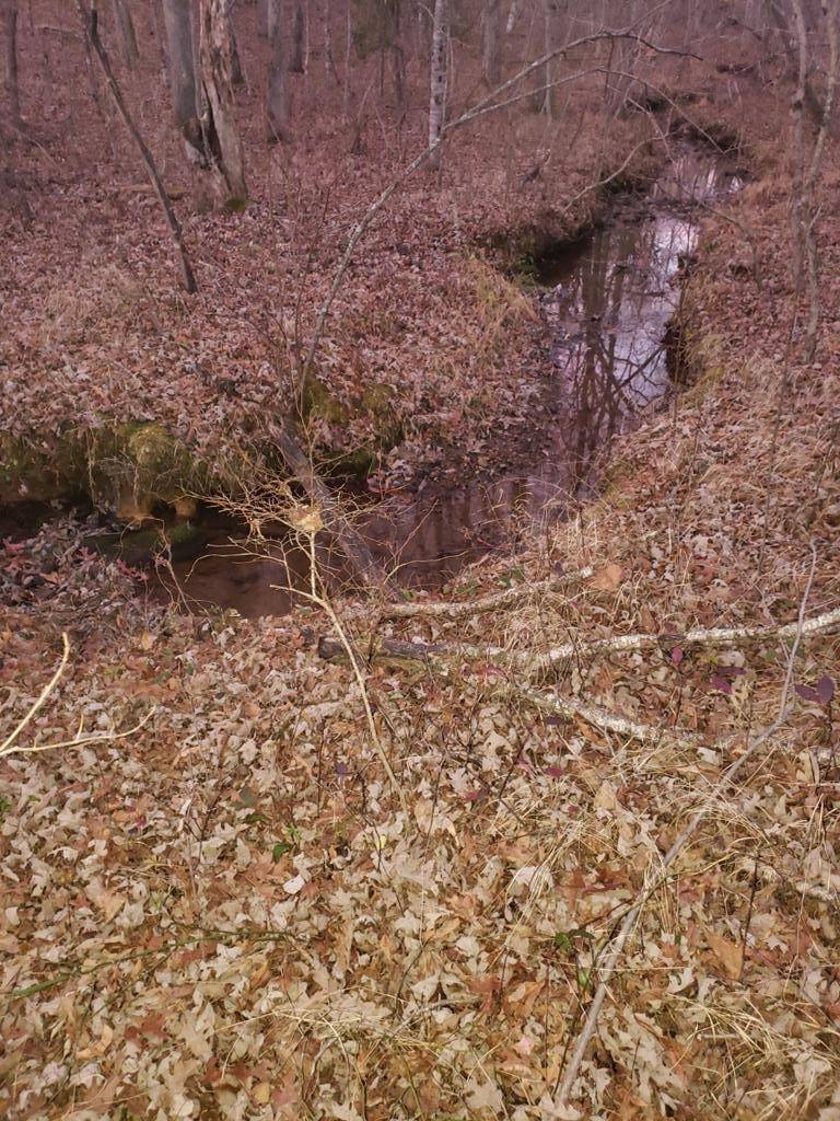 0 Indian Trl, Monterey, TN 38574