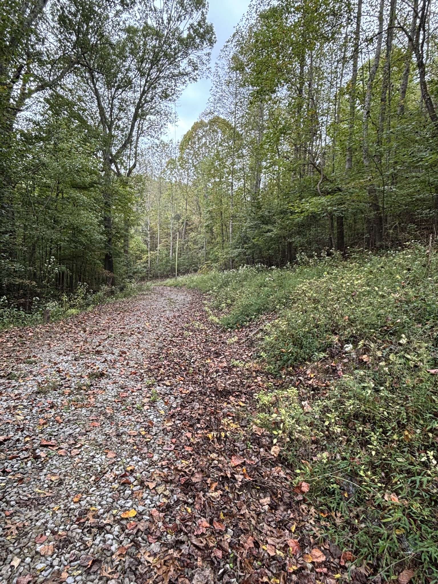 154 Plantation Dr, Manchester, TN 37355