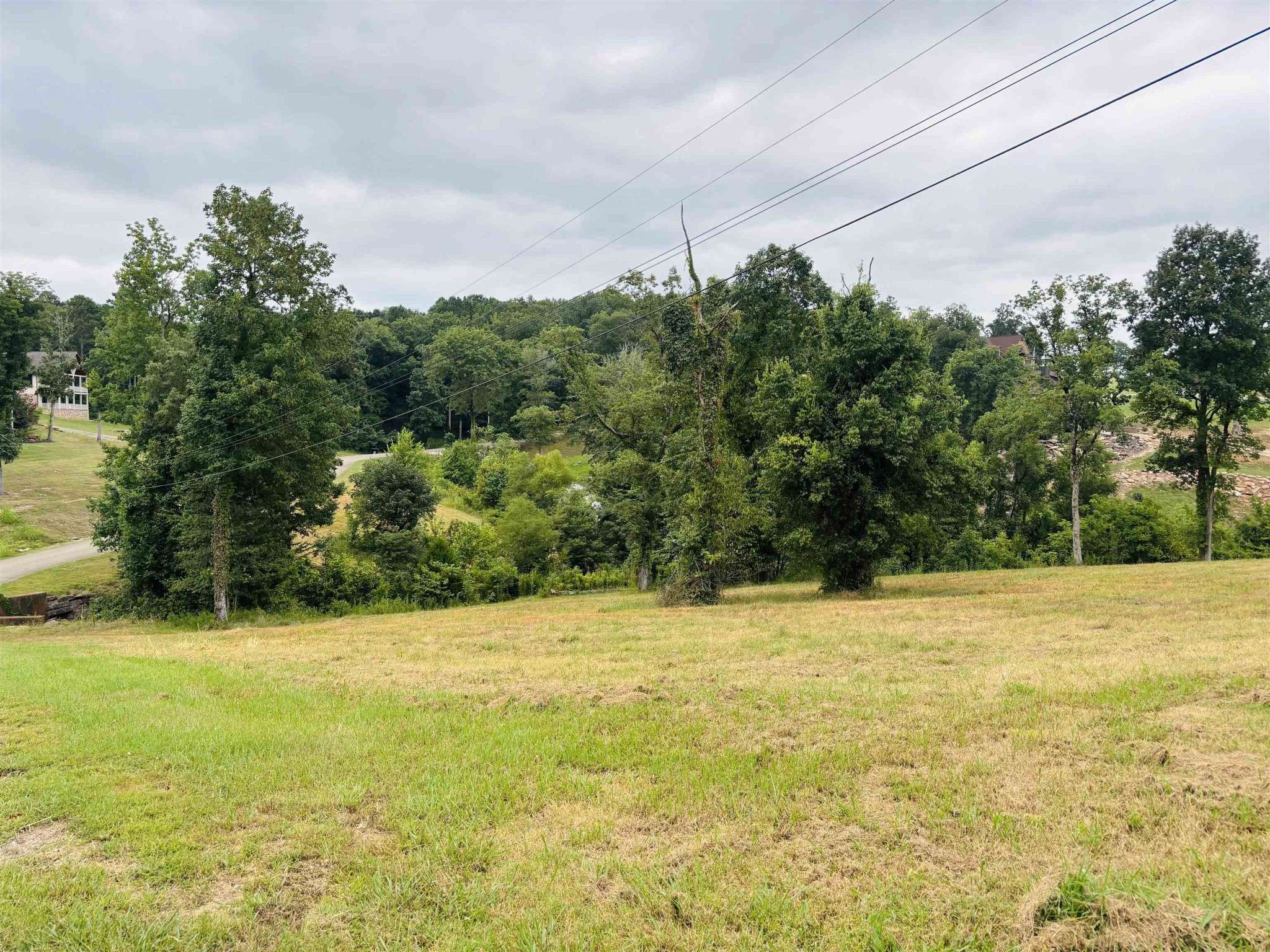 0 RIVERS EDGE CIR, Bath Springs, TN 38311