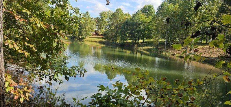 515 Wilderness Way, Dunlap, TN 37327