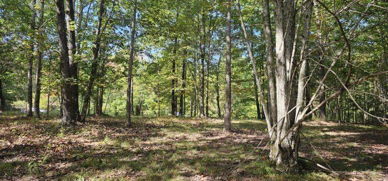 515 Wilderness Way, Dunlap, TN 37327