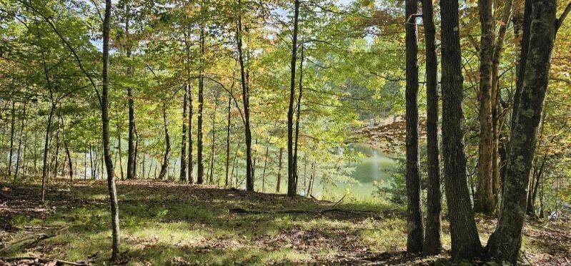515 Wilderness Way, Dunlap, TN 37327