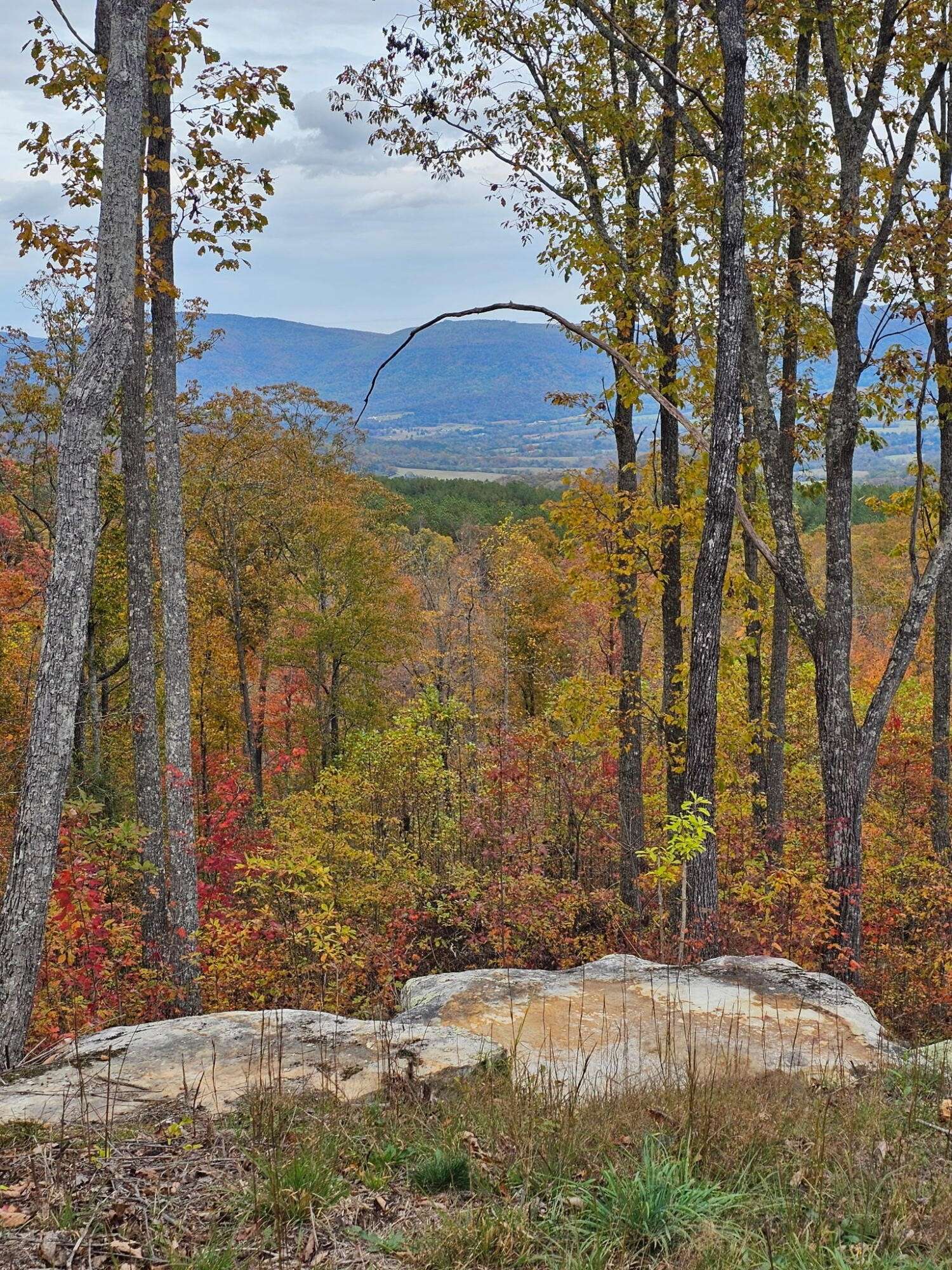0 Overview Road, Crossville, TN 38555