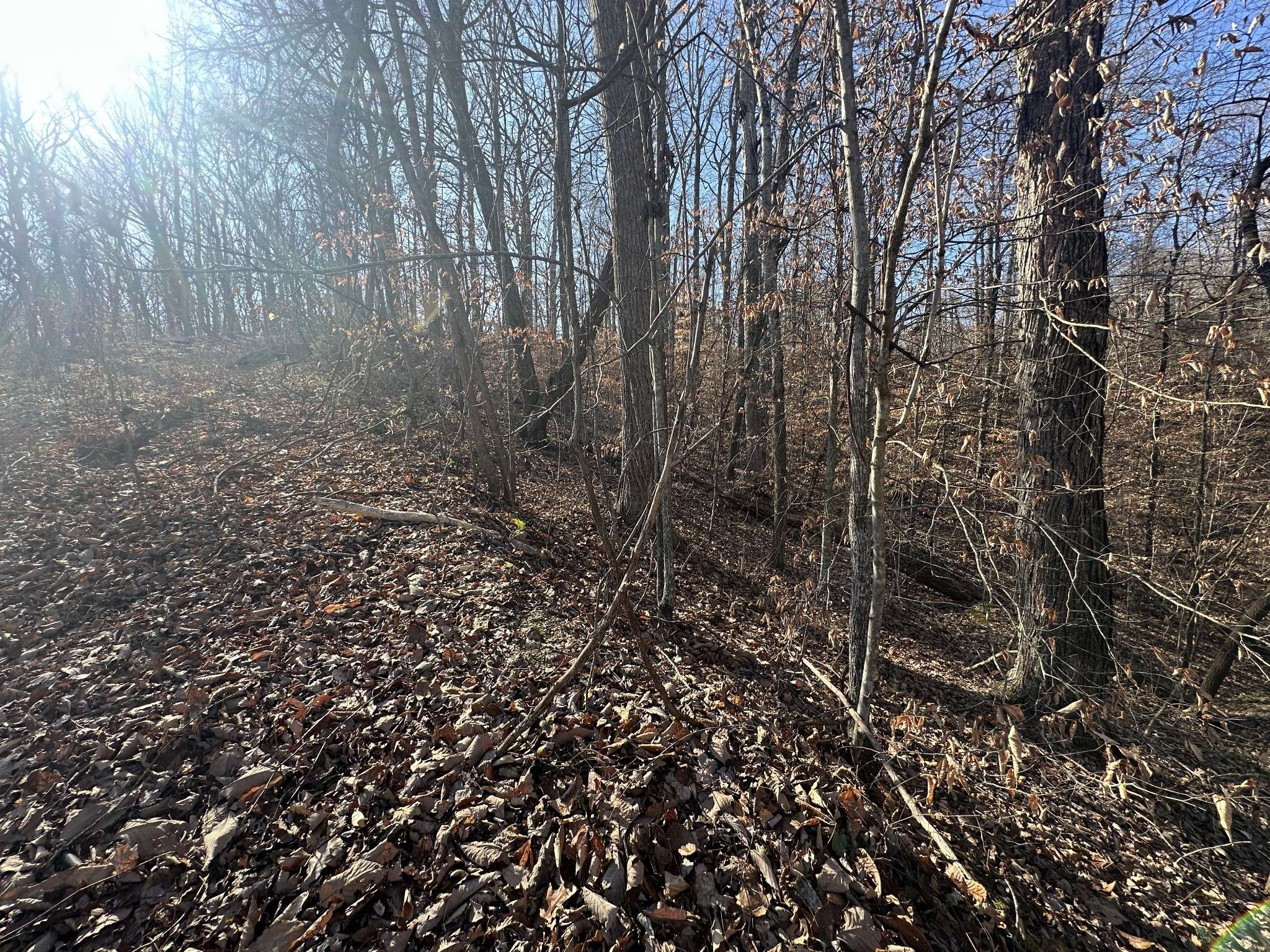 0 Highland Pl, Smithville, TN 37166