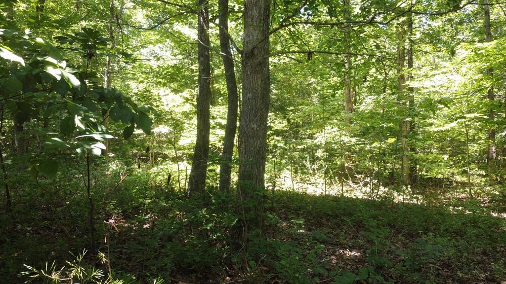 0 Camp Creek Rd, Spencer, TN 38585