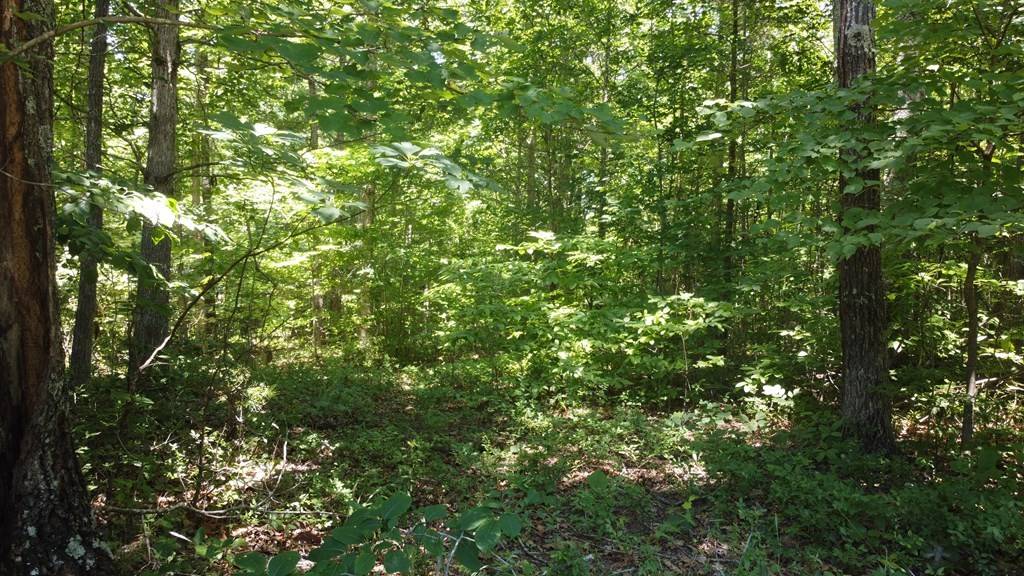 0 Camp Creek Rd, Spencer, TN 38585