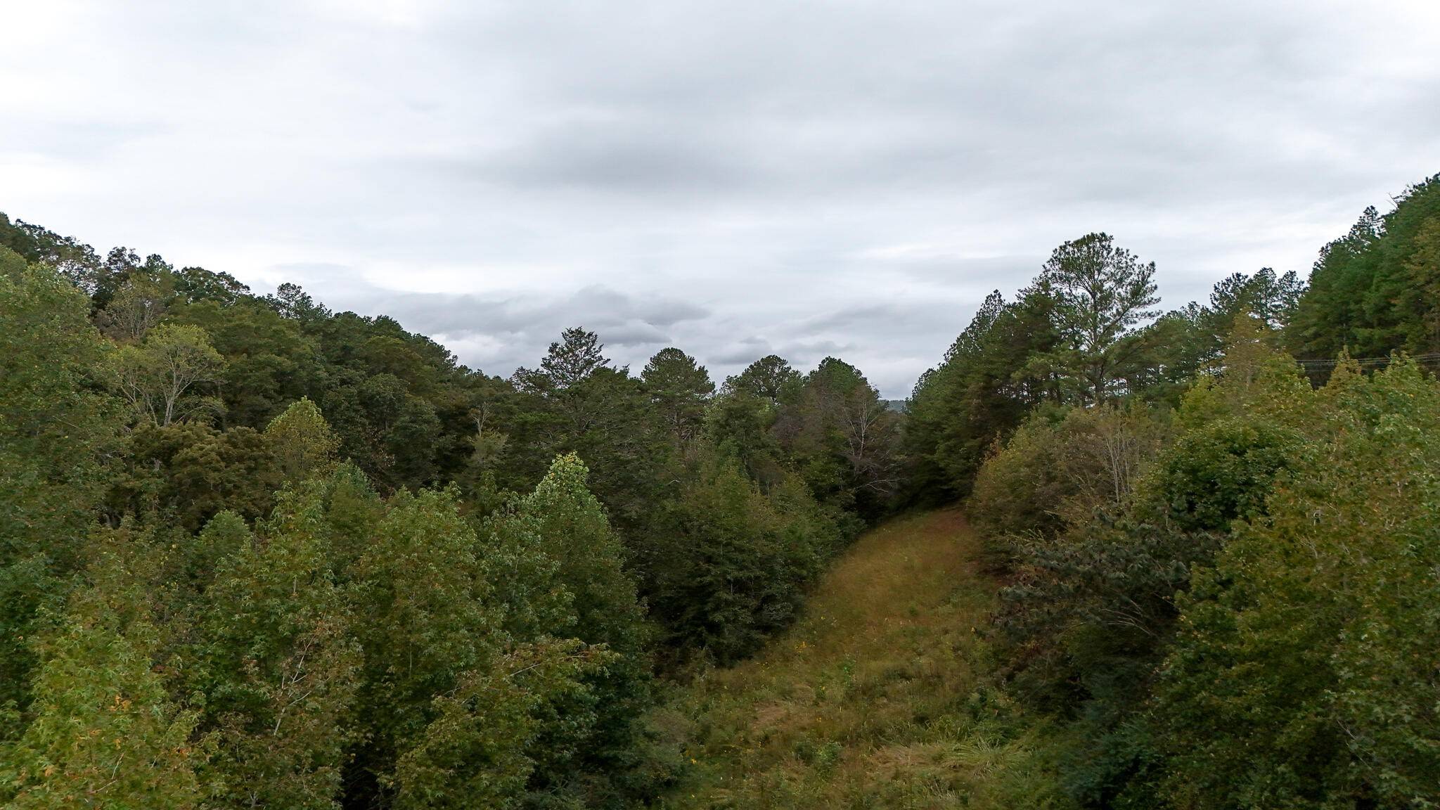 0 Greenwood Road, Ringgold, GA 30736