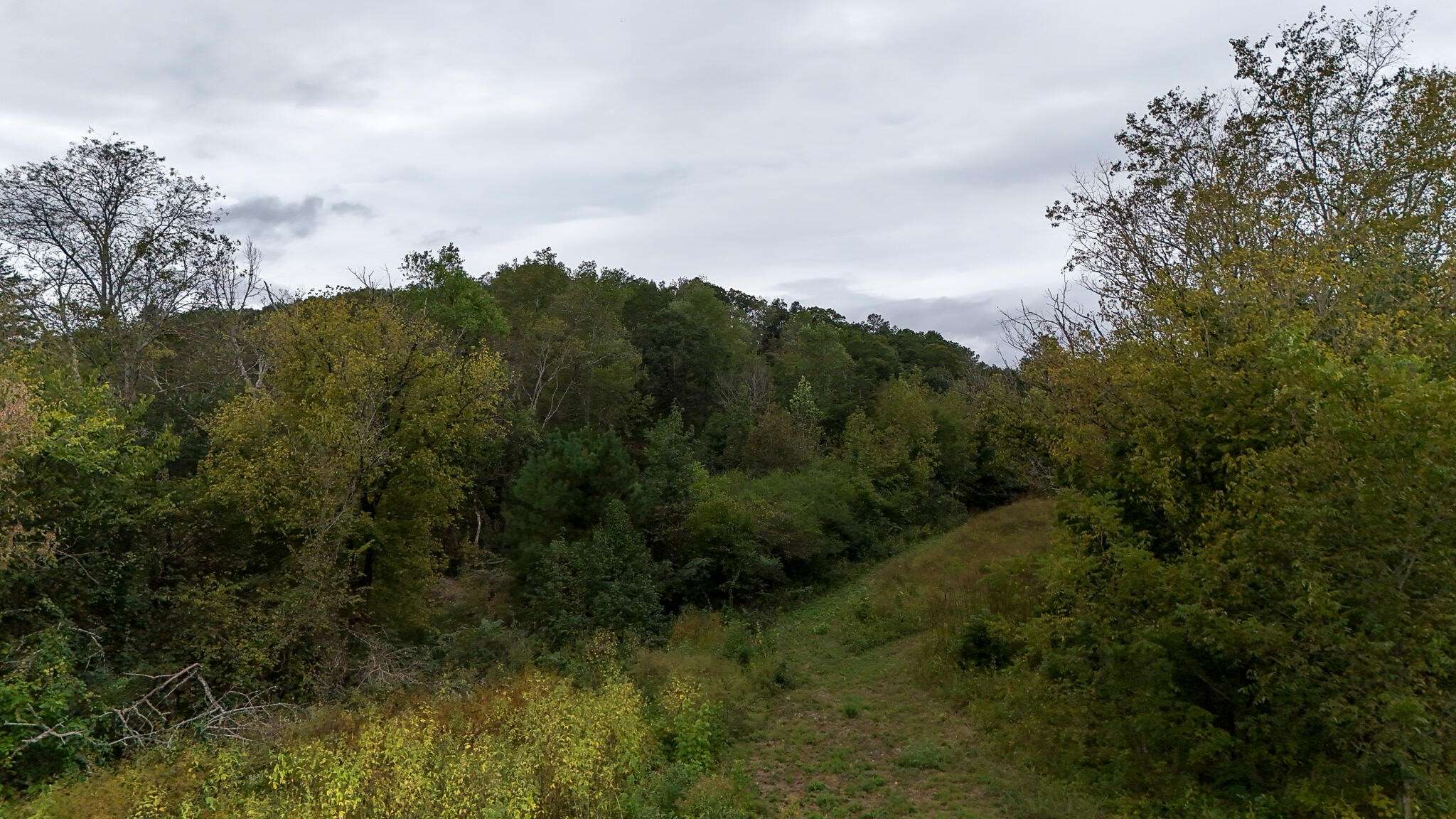 0 Greenwood Road, Ringgold, GA 30736