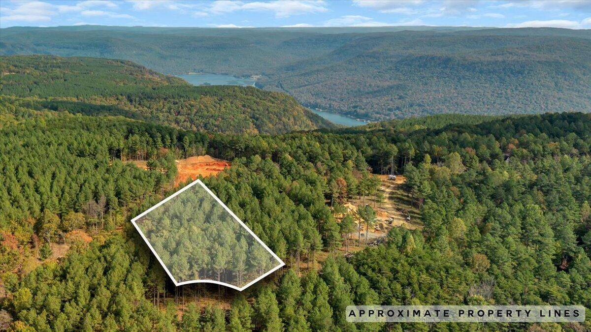 400 Treetop Street, Guild, TN 37340