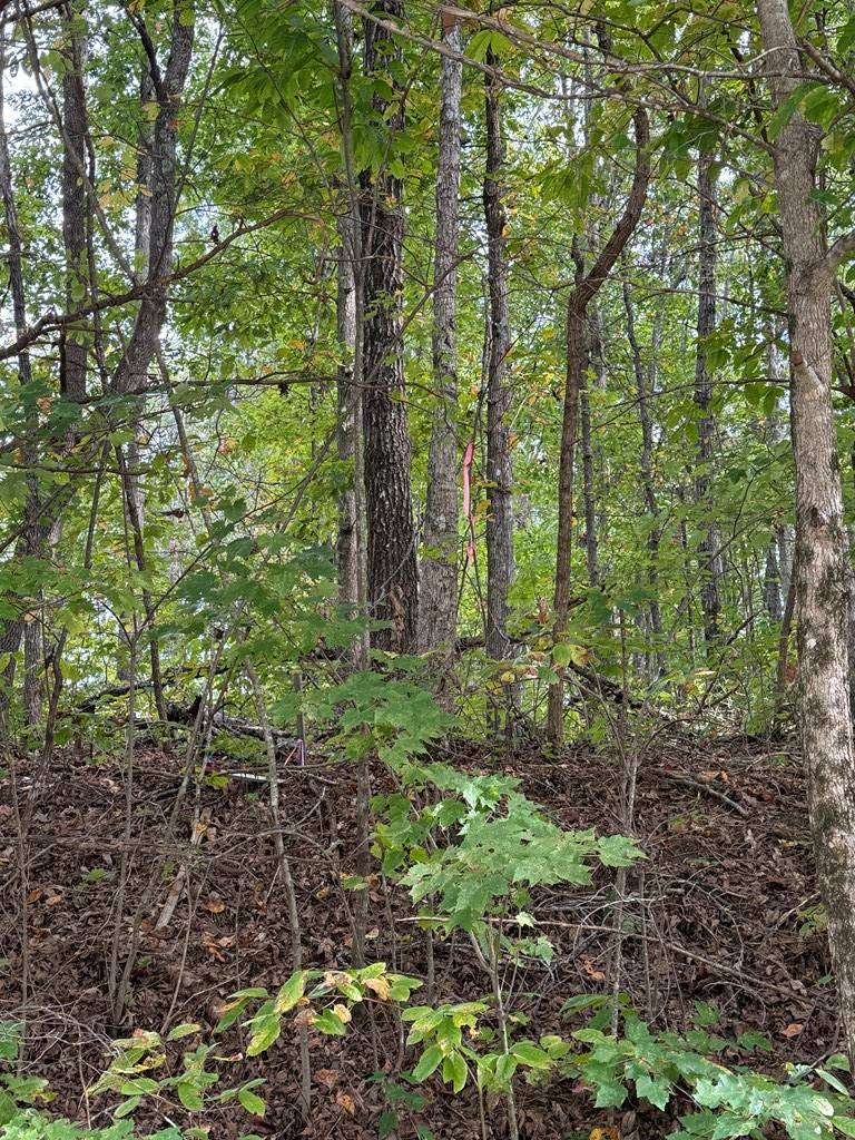 0 W Laurel Way, Monterey, TN 38574