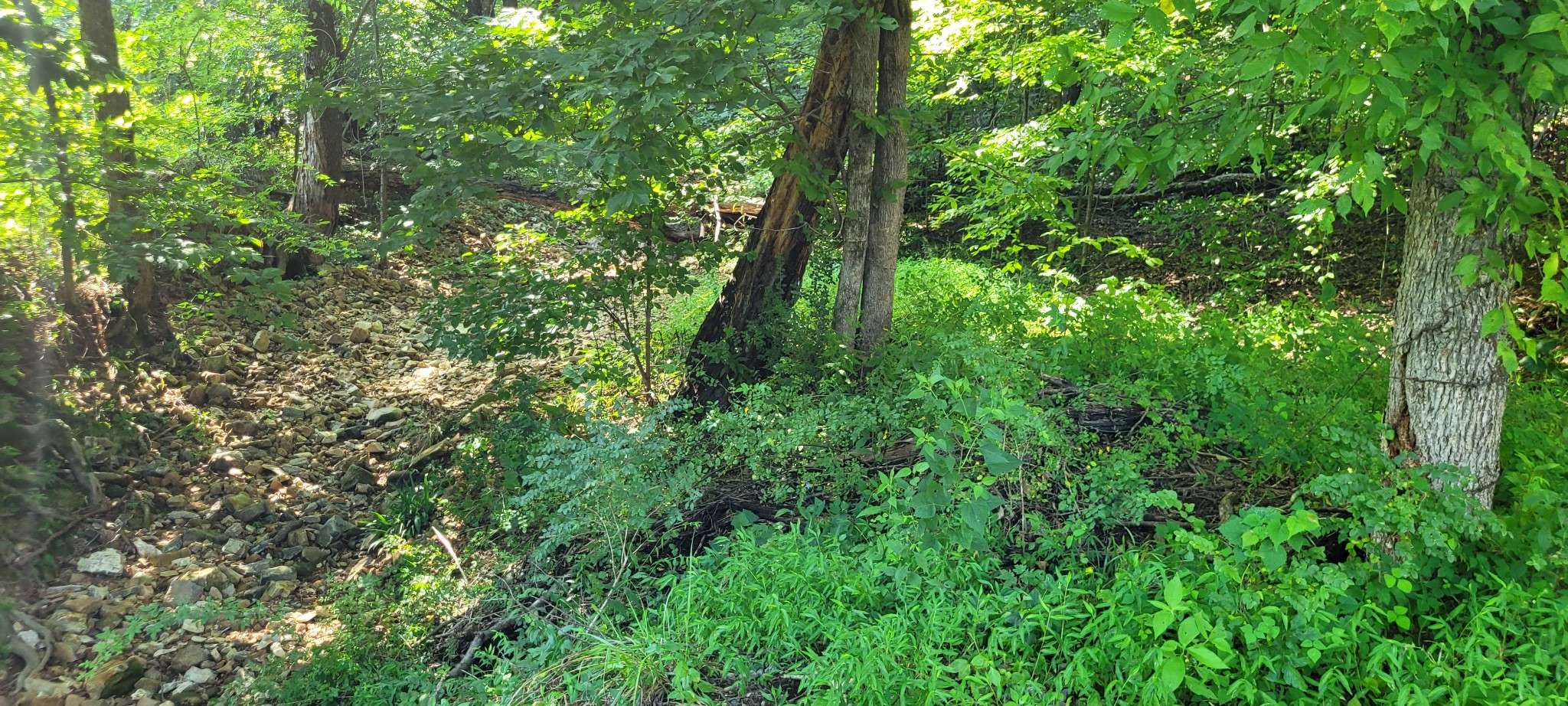 1 Terrapin Run Rd, Dover, TN 37058