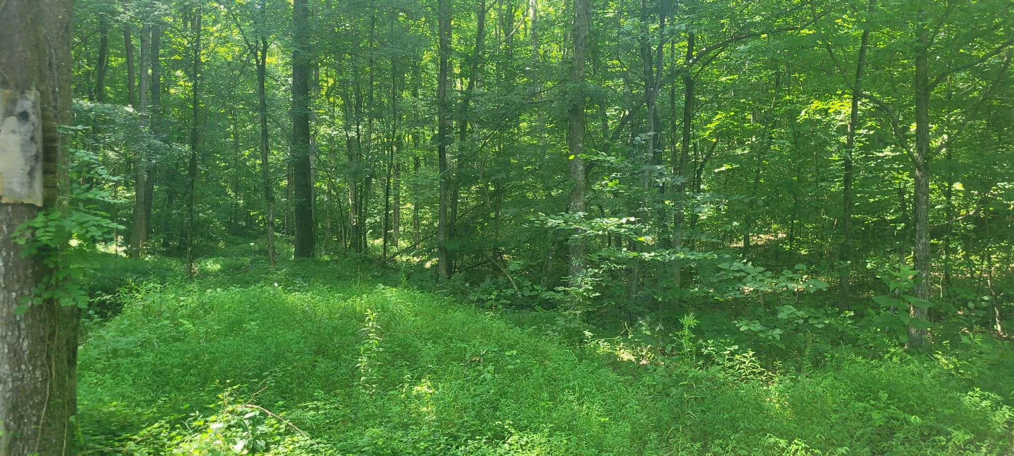 1 Terrapin Run Rd, Dover, TN 37058
