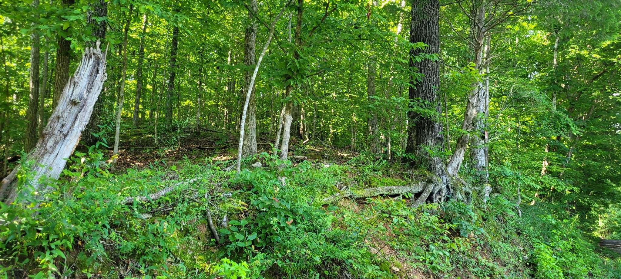 1 Terrapin Run Rd, Dover, TN 37058
