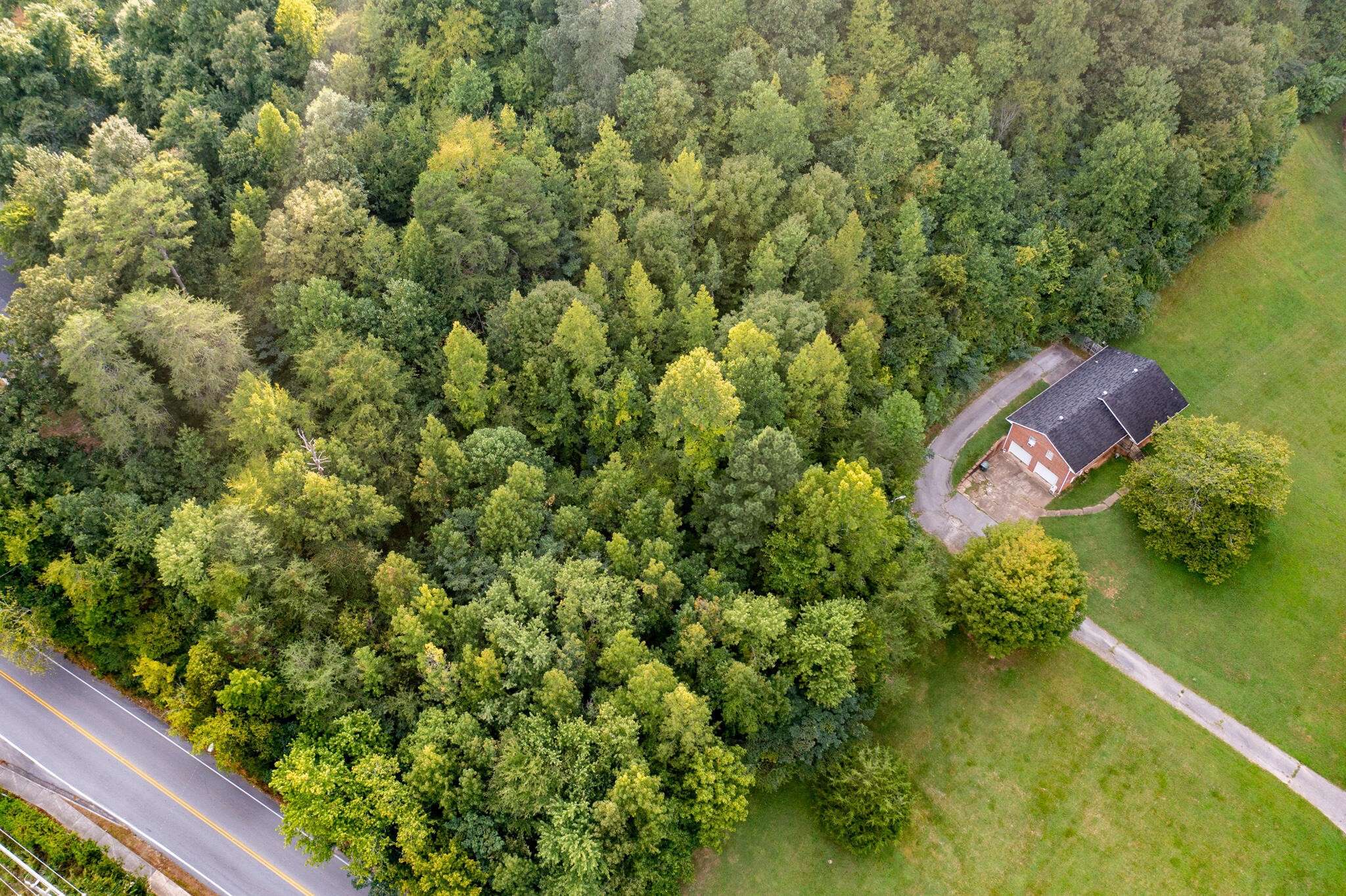 1161 Mountain Creek Road, Chattanooga, TN 37405