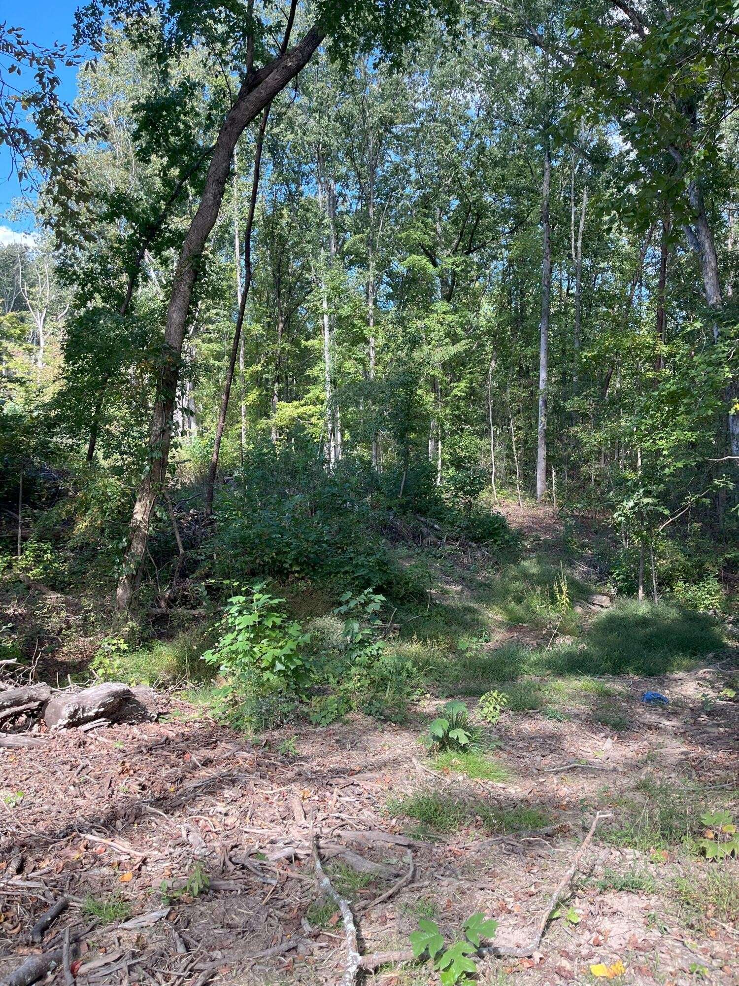 0 N Dug Gap Road, Dalton, GA 30720
