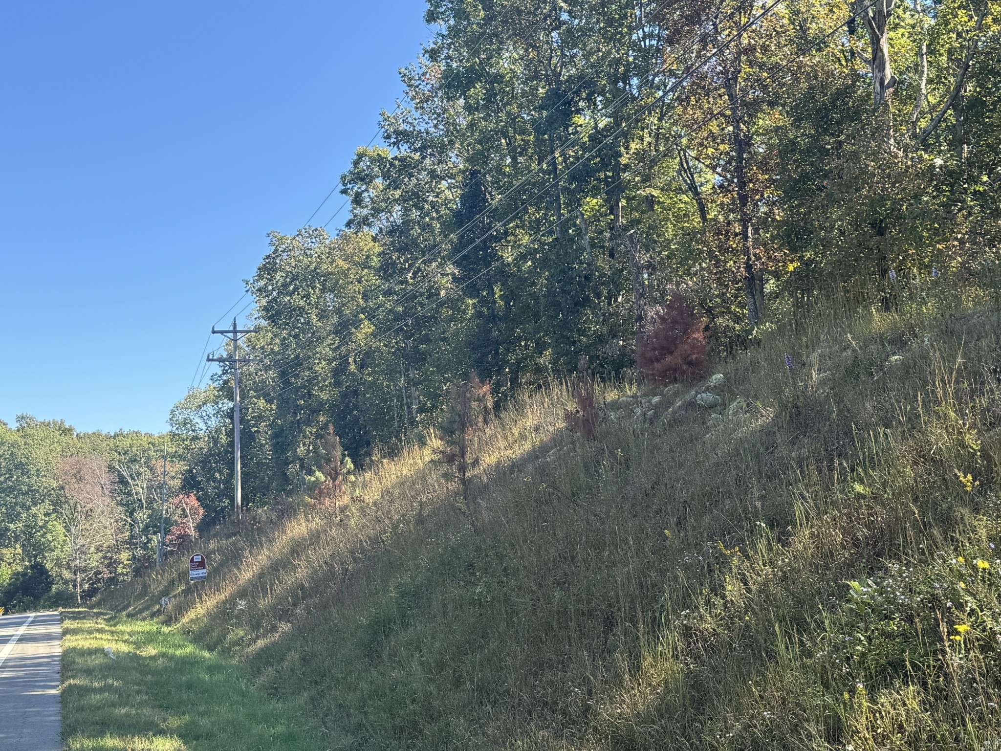 0 Hwy 100, Centerville, TN 37033