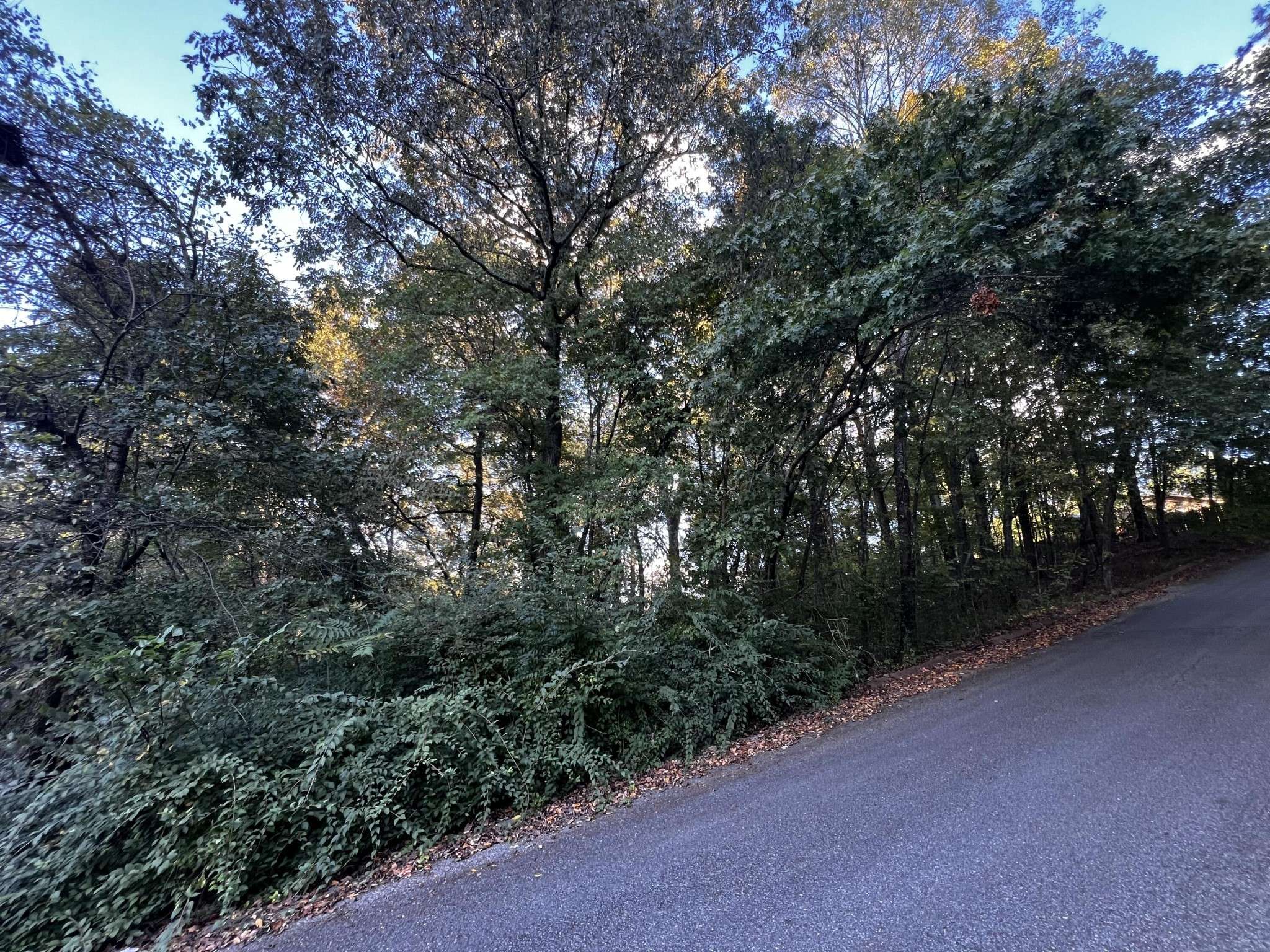 6604 Declaration Drive, Hixson, TN 37343
