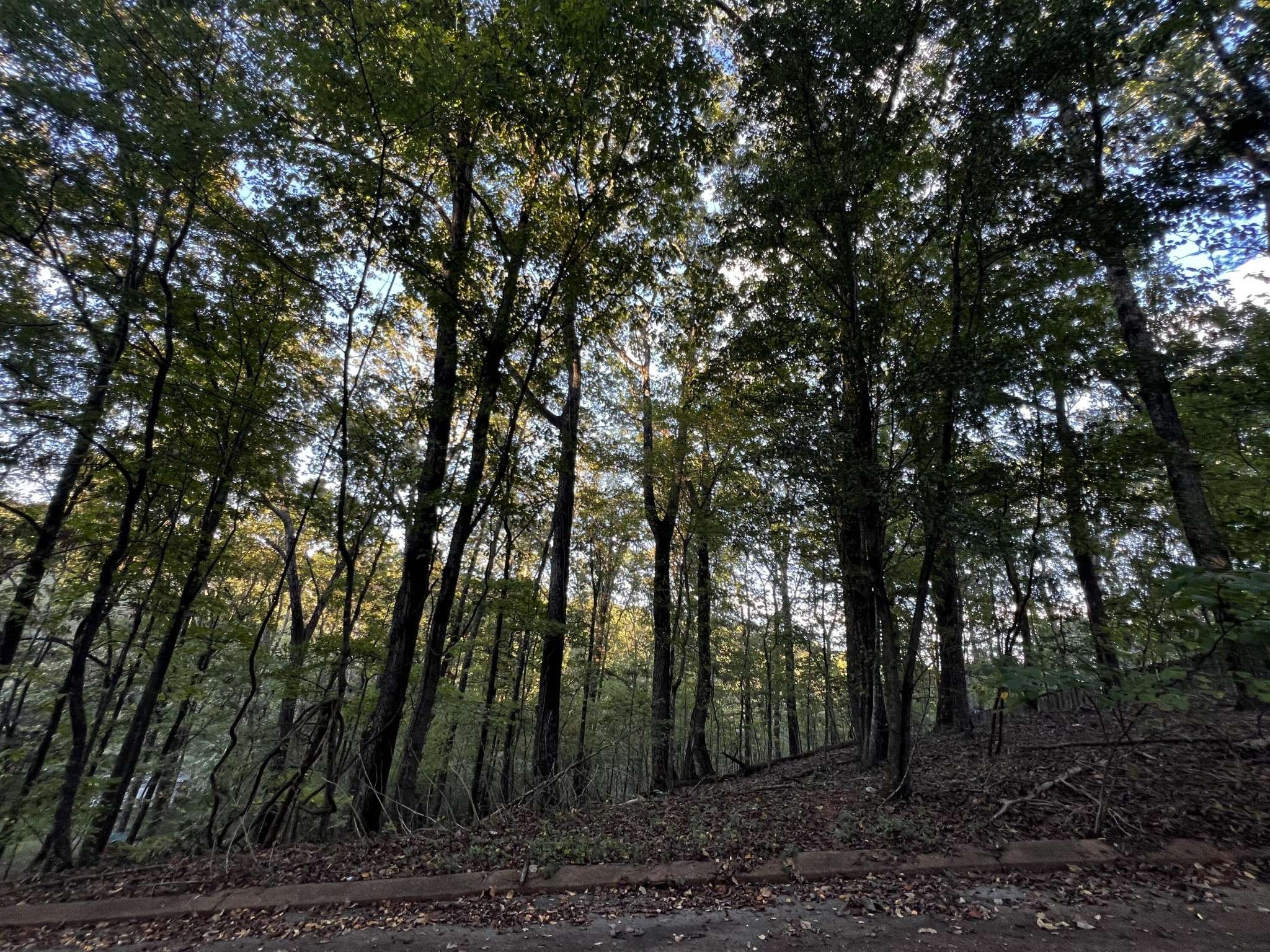 6604 Declaration Drive, Hixson, TN 37343