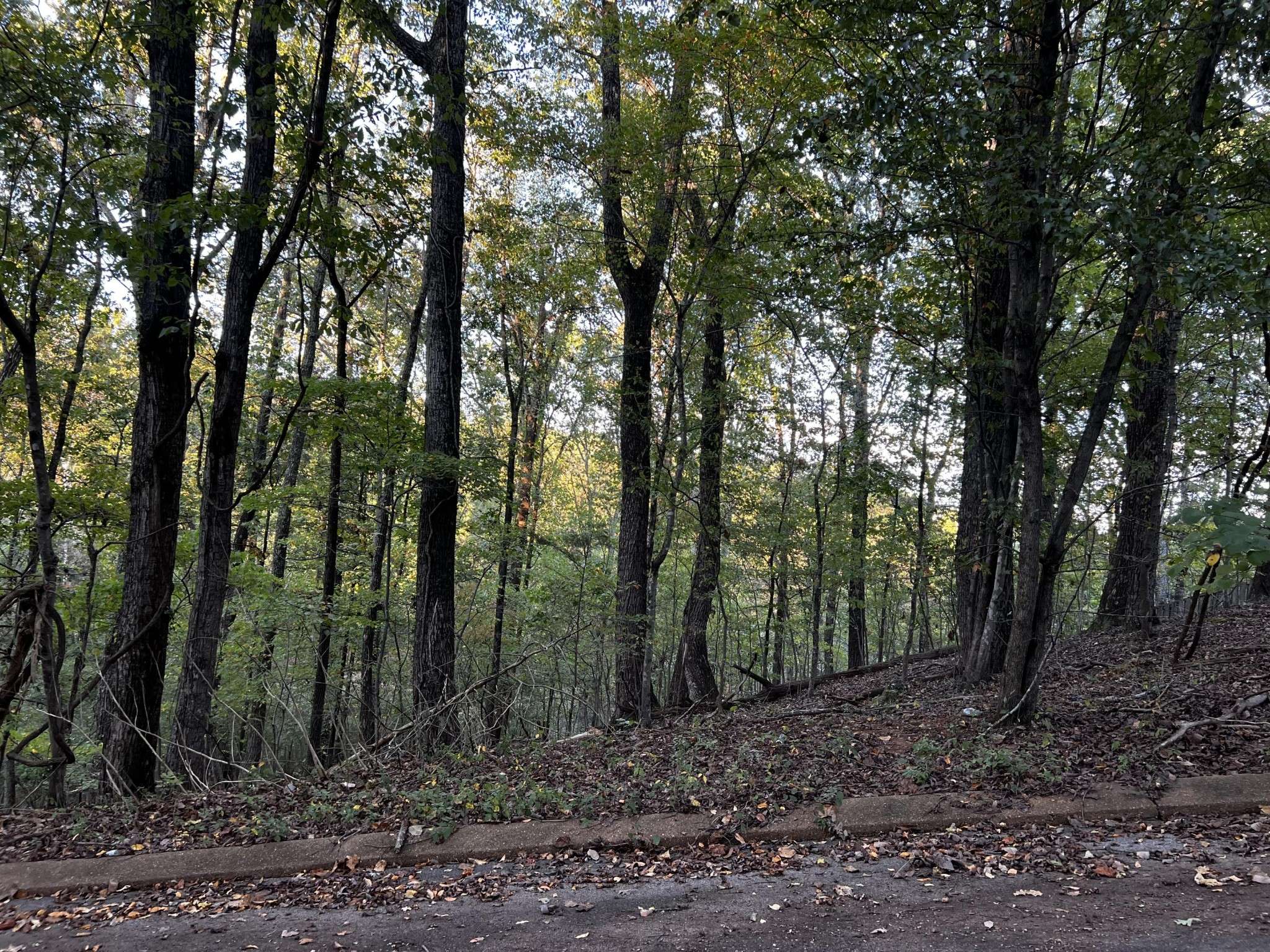6604 Declaration Drive, Hixson, TN 37343