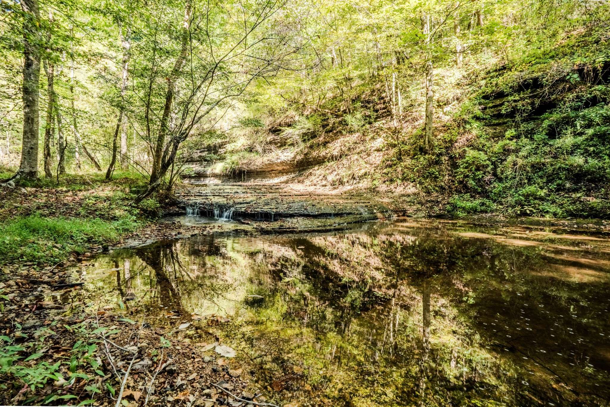 0 S Randall Rd, Westpoint, TN 38486