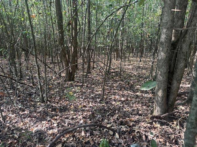 0 TOW BOAT LN, Adamsville, TN 38310
