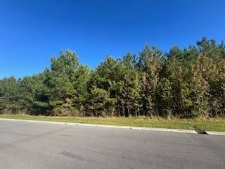 0 Seminole Ln, Manchester, TN 37355