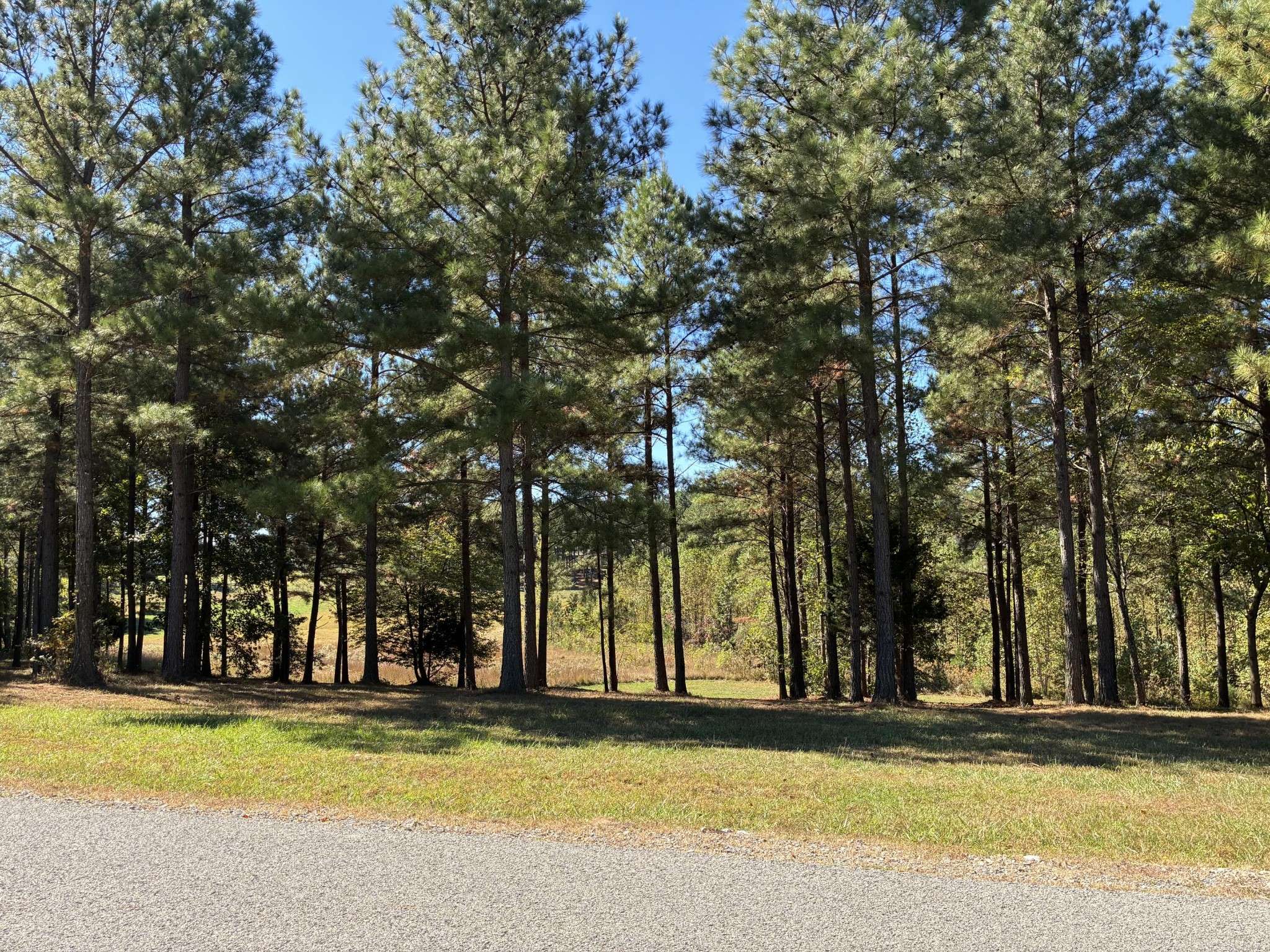 241 Pappy Road, Jasper, TN 37347