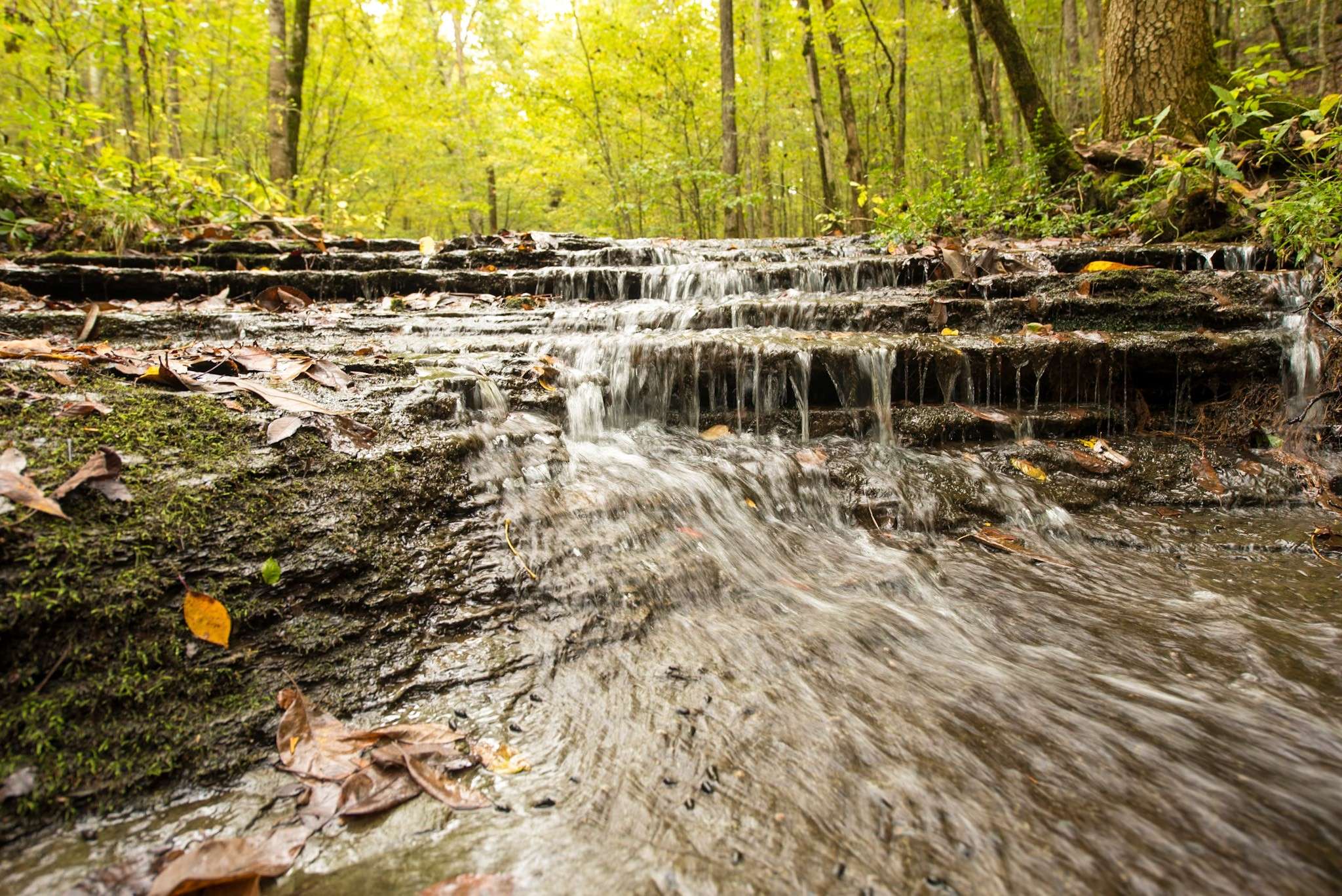 9062 Dry Creek Rd, Mount Pleasant, TN 38474