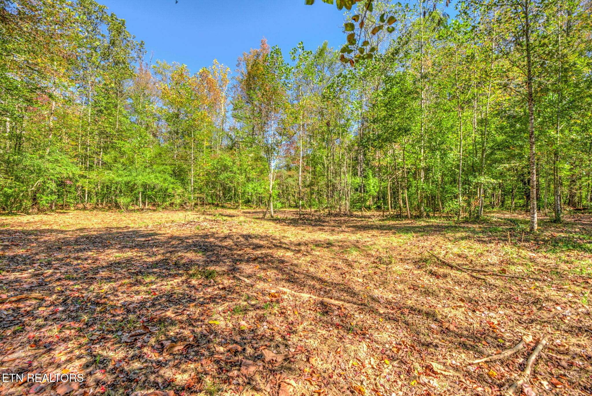 1446 Cove Lane, Oliver Springs, TN 37840