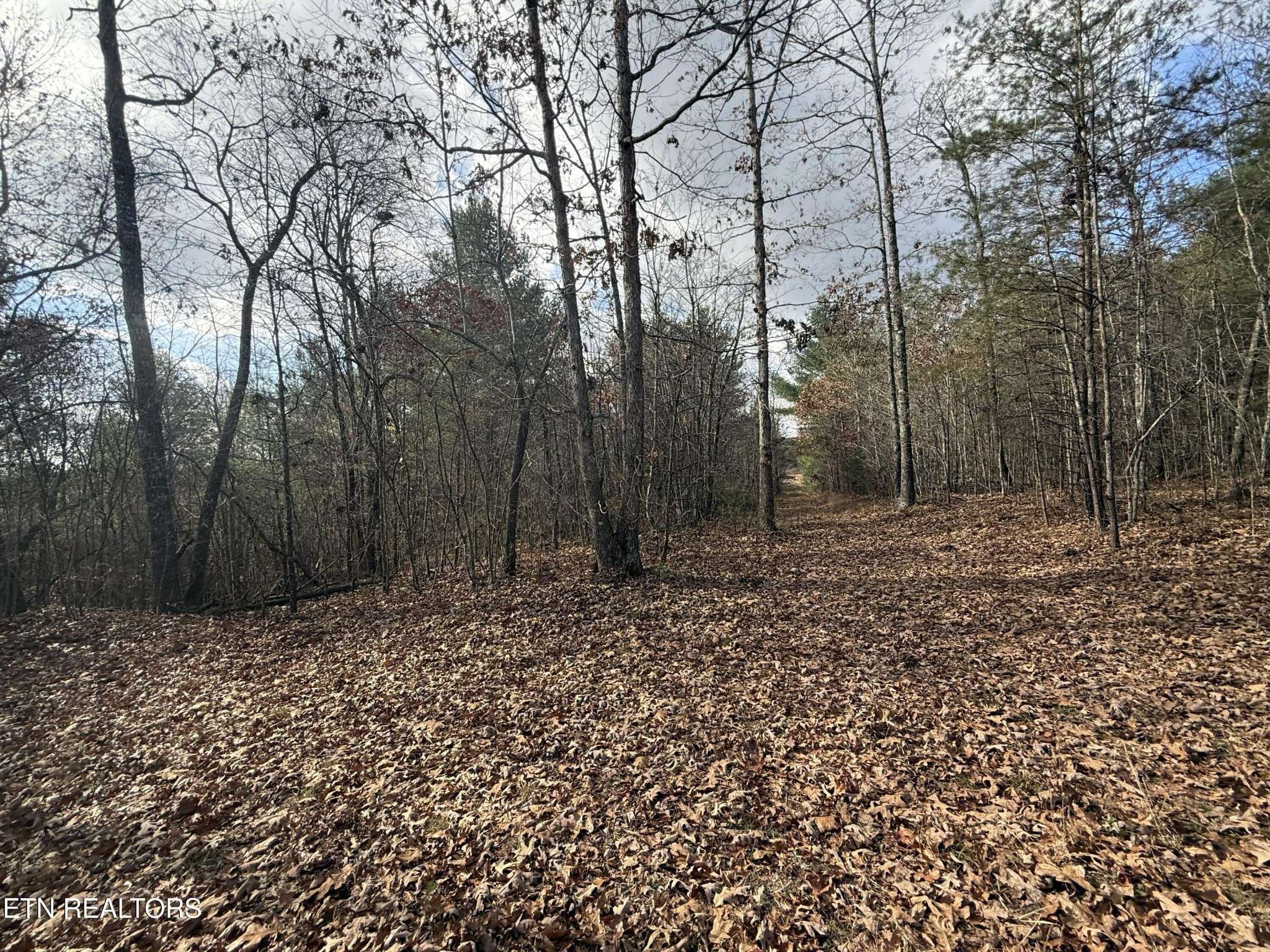 0 Valerie Drive, Deer Lodge, TN 37726