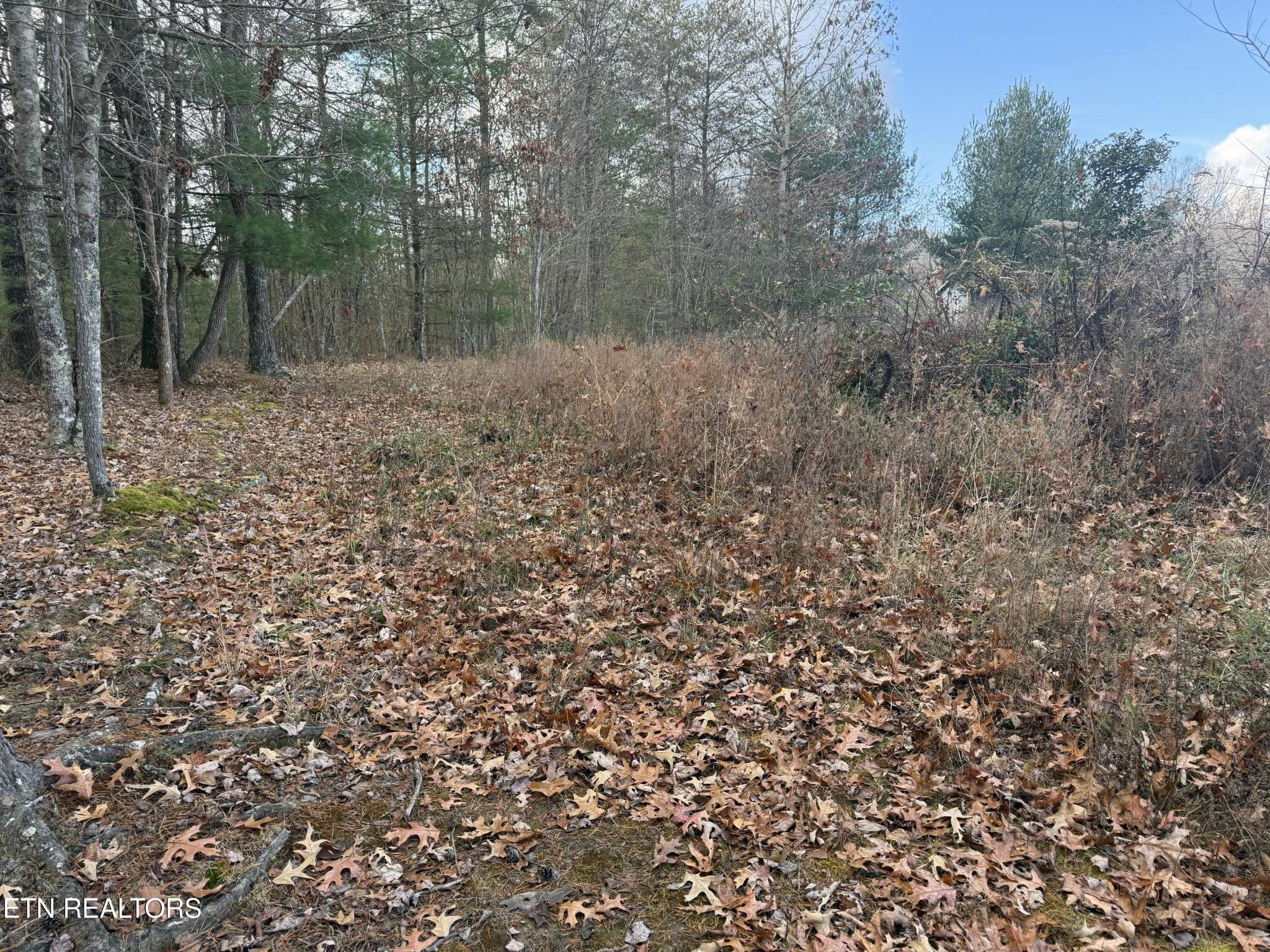 0 Valerie Drive, Deer Lodge, TN 37726