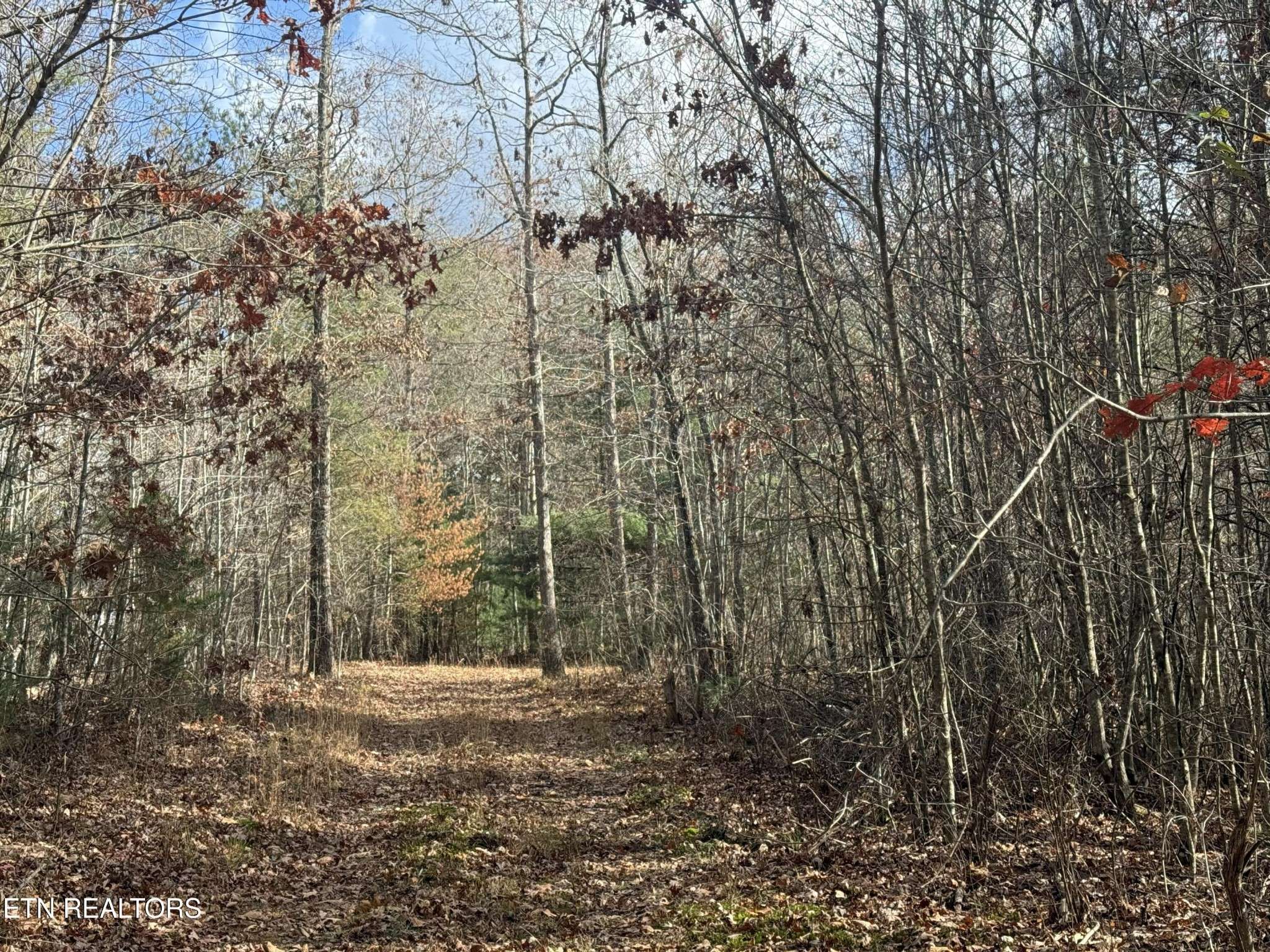 0 Valerie Drive, Deer Lodge, TN 37726