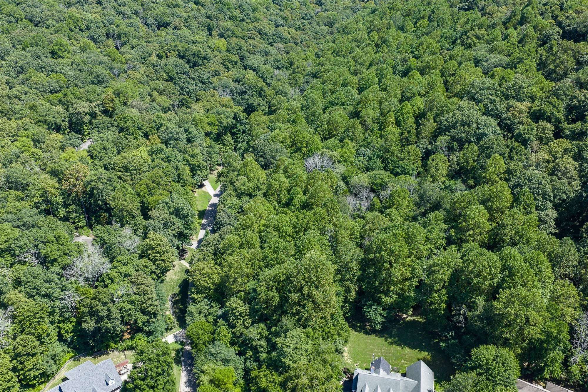 411 Auguste Cir, Cookeville, TN 38506